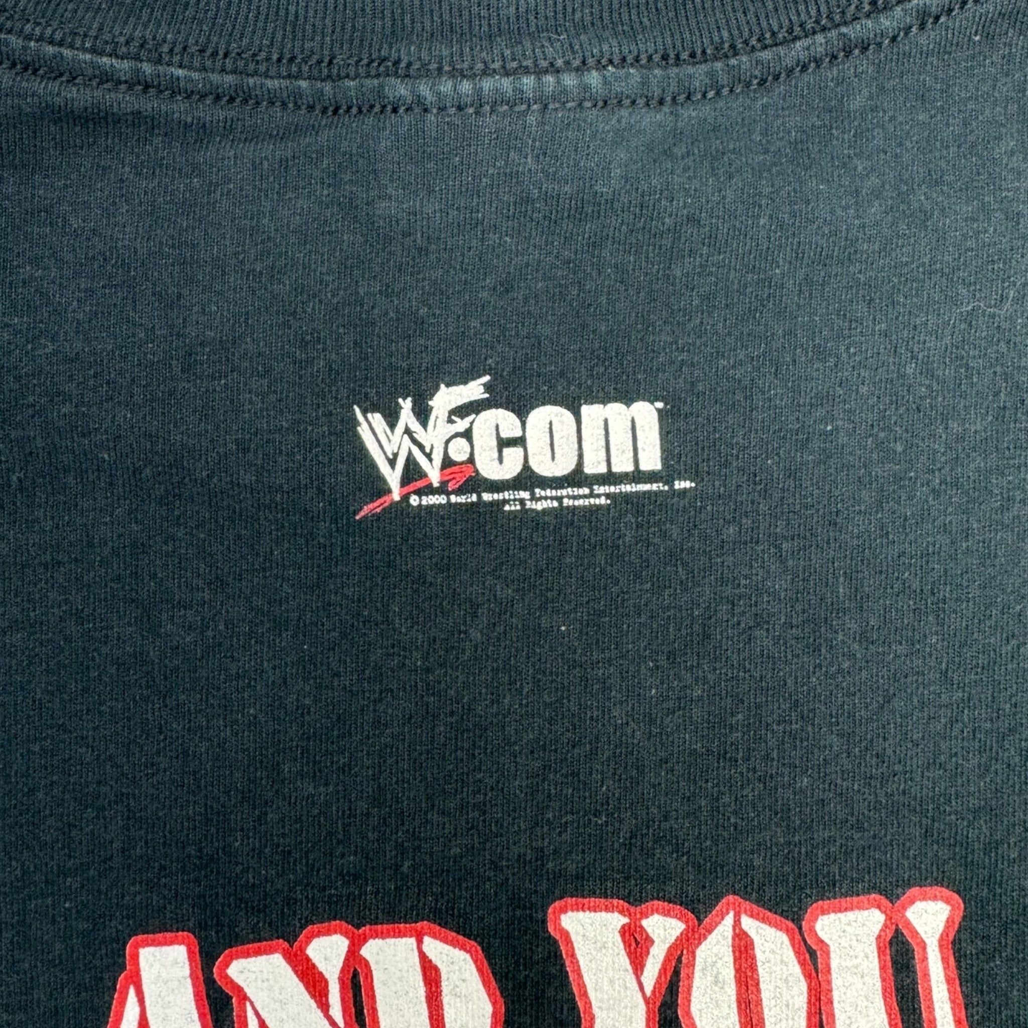 2000 WWF Y2J "Raw Is Jericho" Wrestling T-Shirt