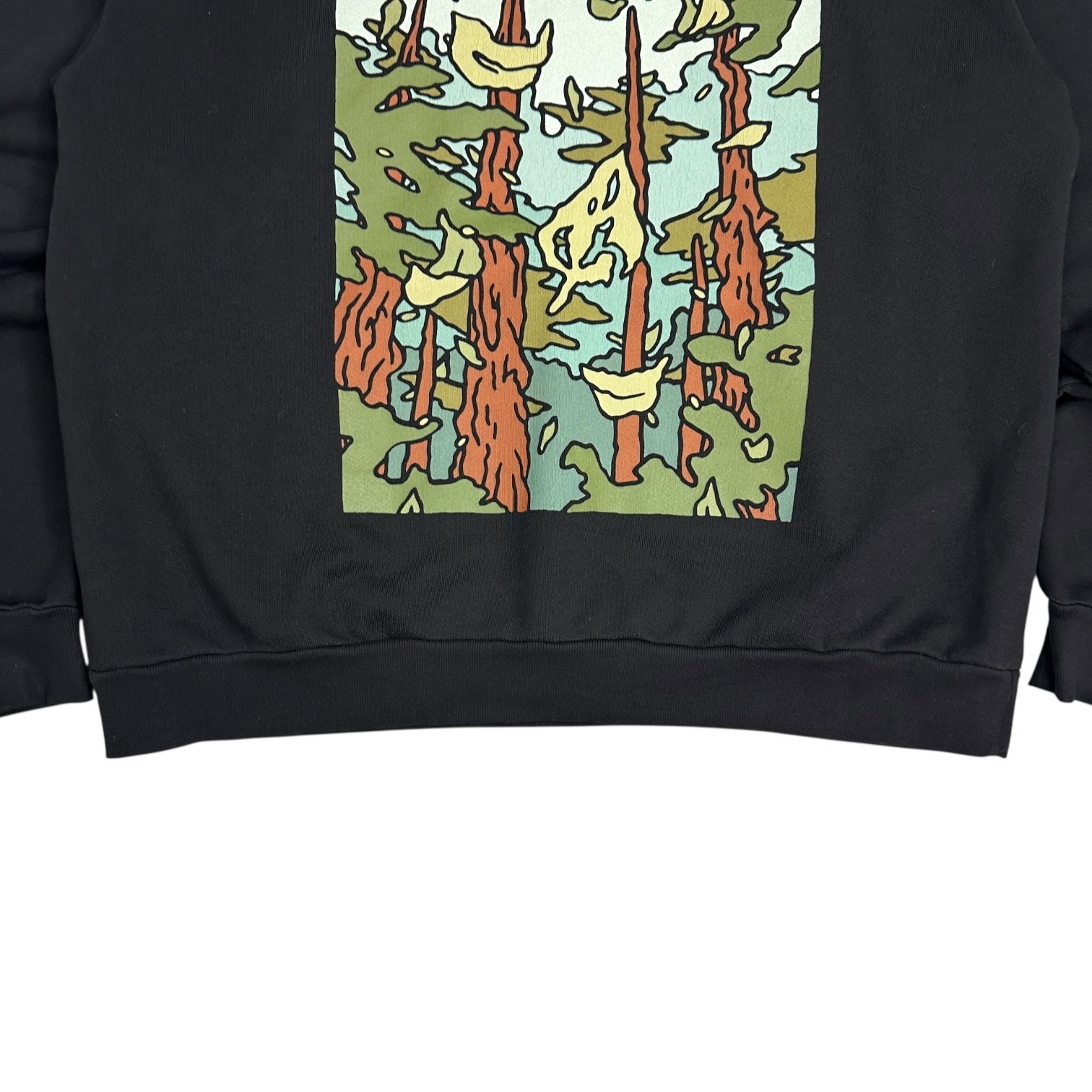 Hidden NY Leaves Hoodie Black