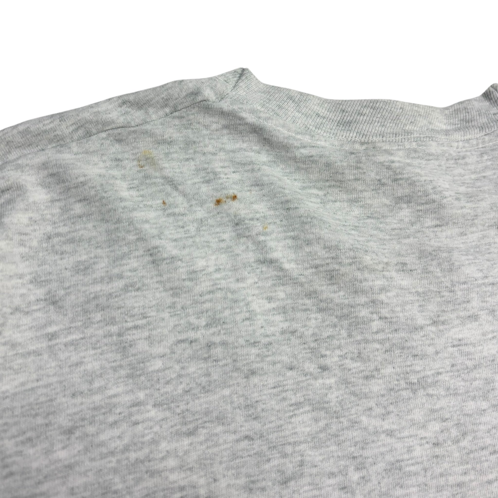 1994 Wisconsin Badgers Rose Bowl Champions T-Shirt