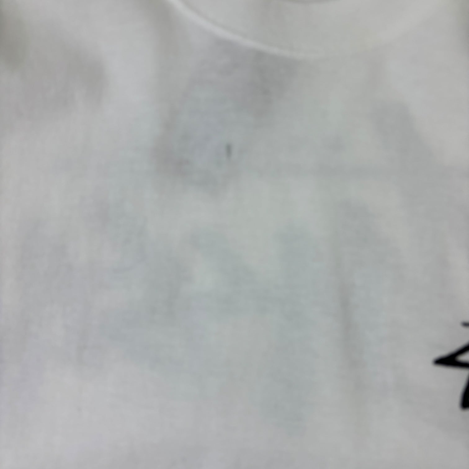 Stussy Vancouver Chapter T-Shirt White