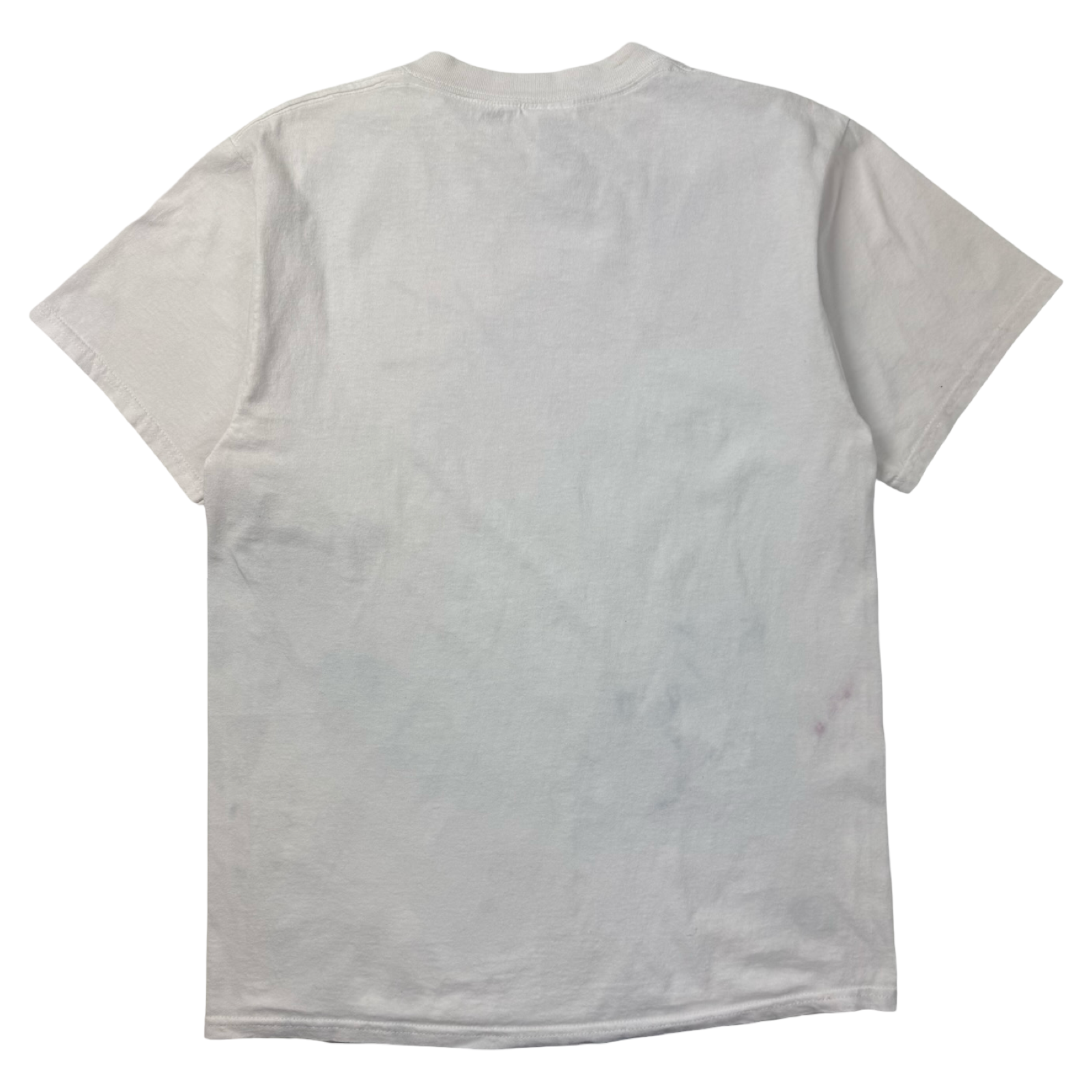 Vintage Y2K Karl Kani Farewell Tour Promo T-Shirt