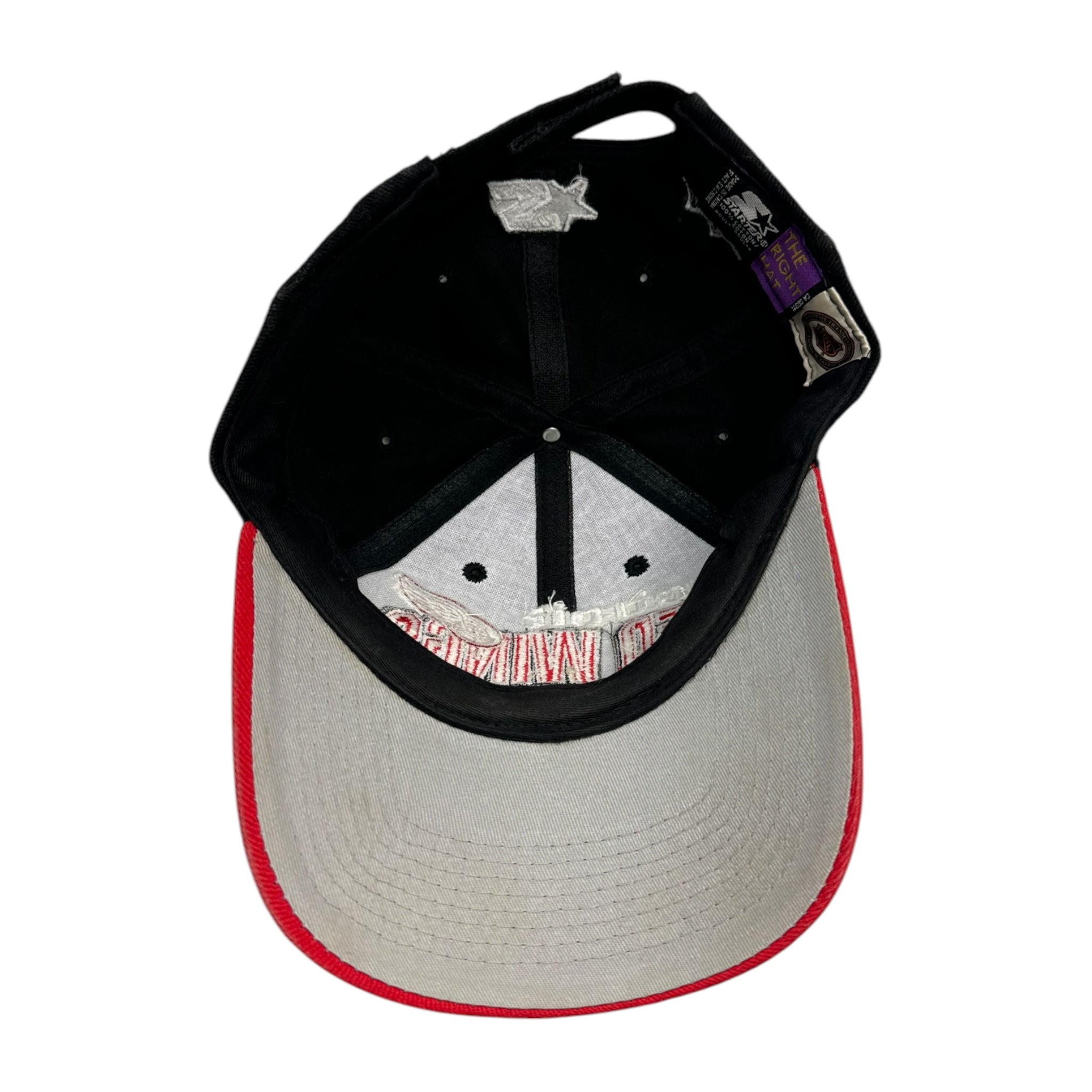 Vintage Detroit Red Wings Arc Logo Starter Hat