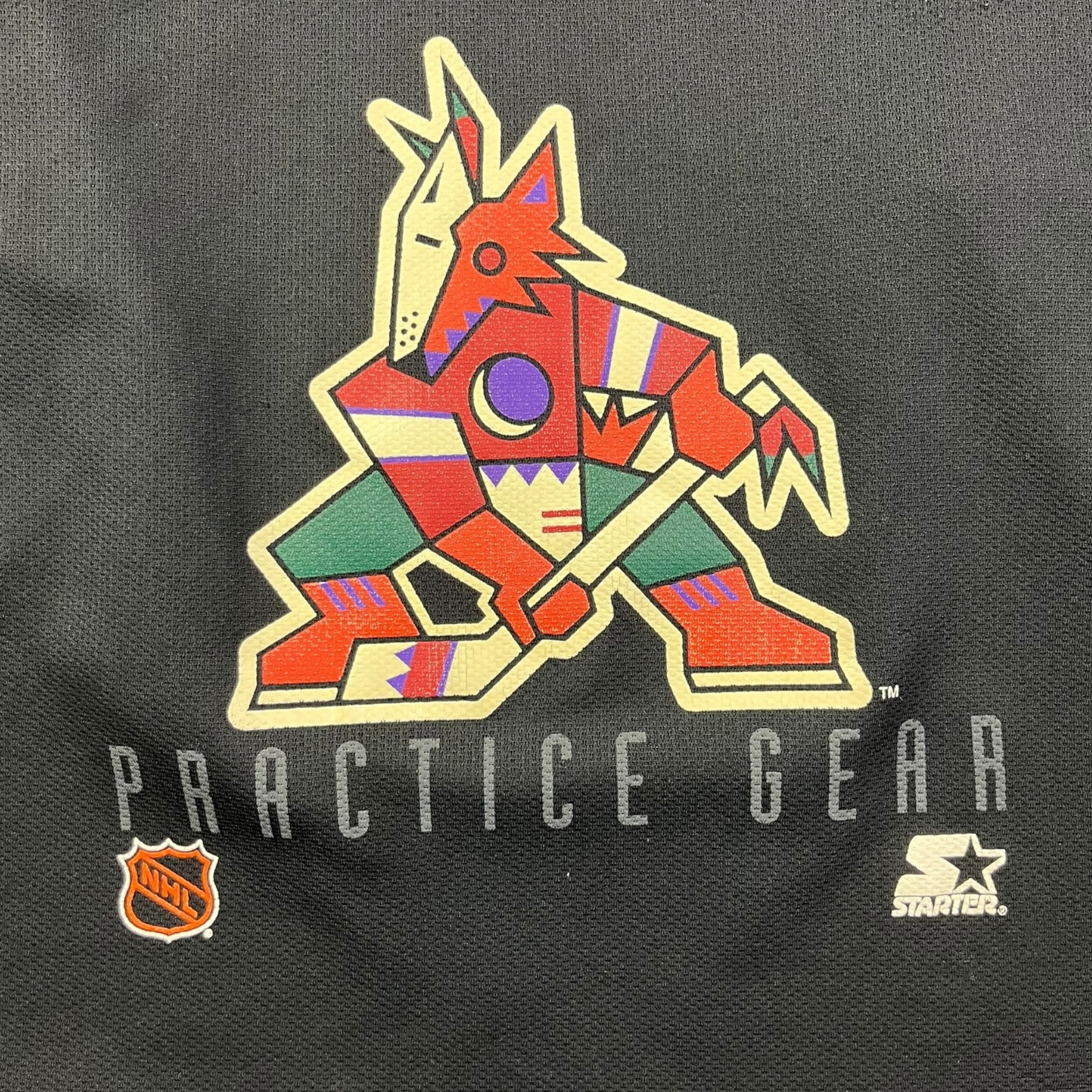 Vintage Phoenix Coyotes Starter Practice Jersey