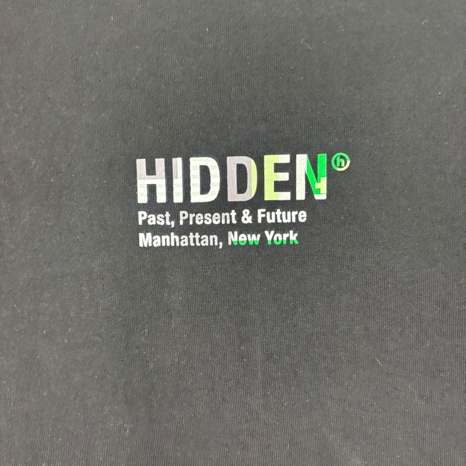 Hidden NY Pixel Flag T-Shirt Black