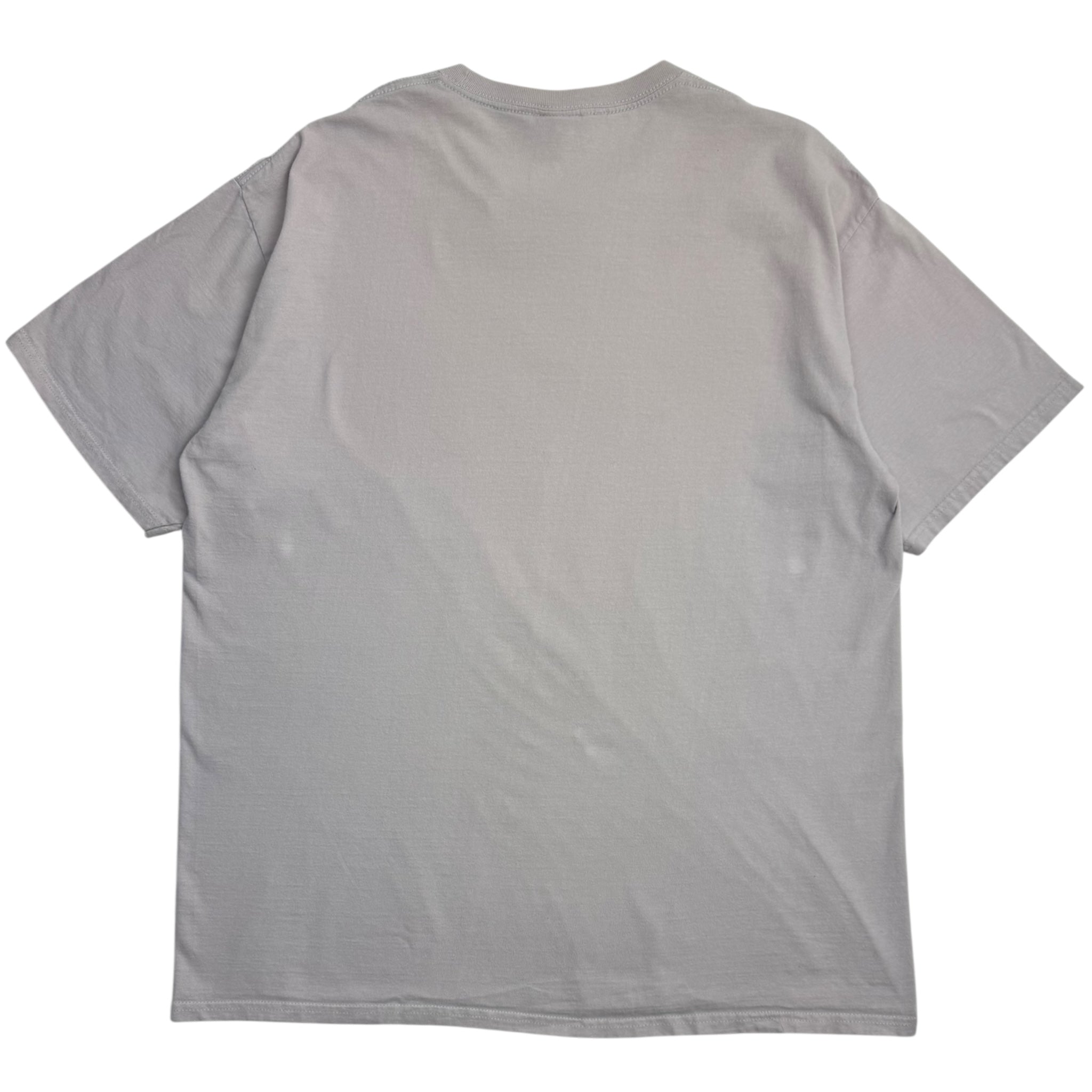 Vintage Y2K Blind Skateboards T-Shirt Pale Purple