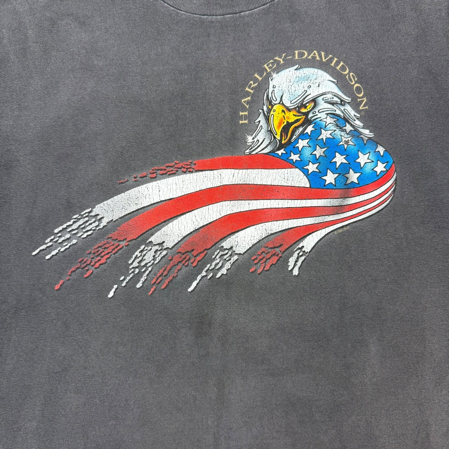 Vintage Harley Davidson Of Lakeville Tee Faded Black