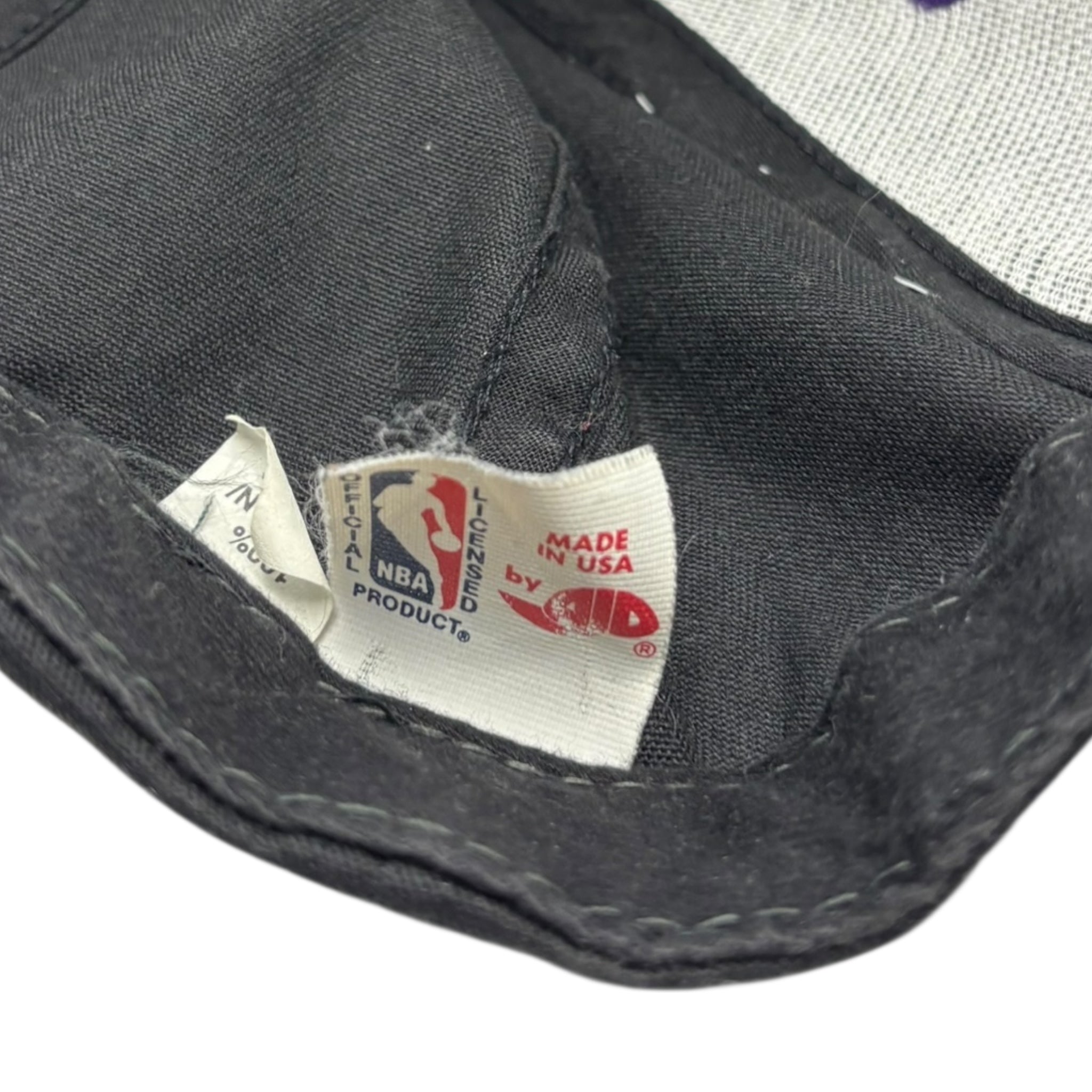 1994 Toronto Raptors Logo NBA Hat