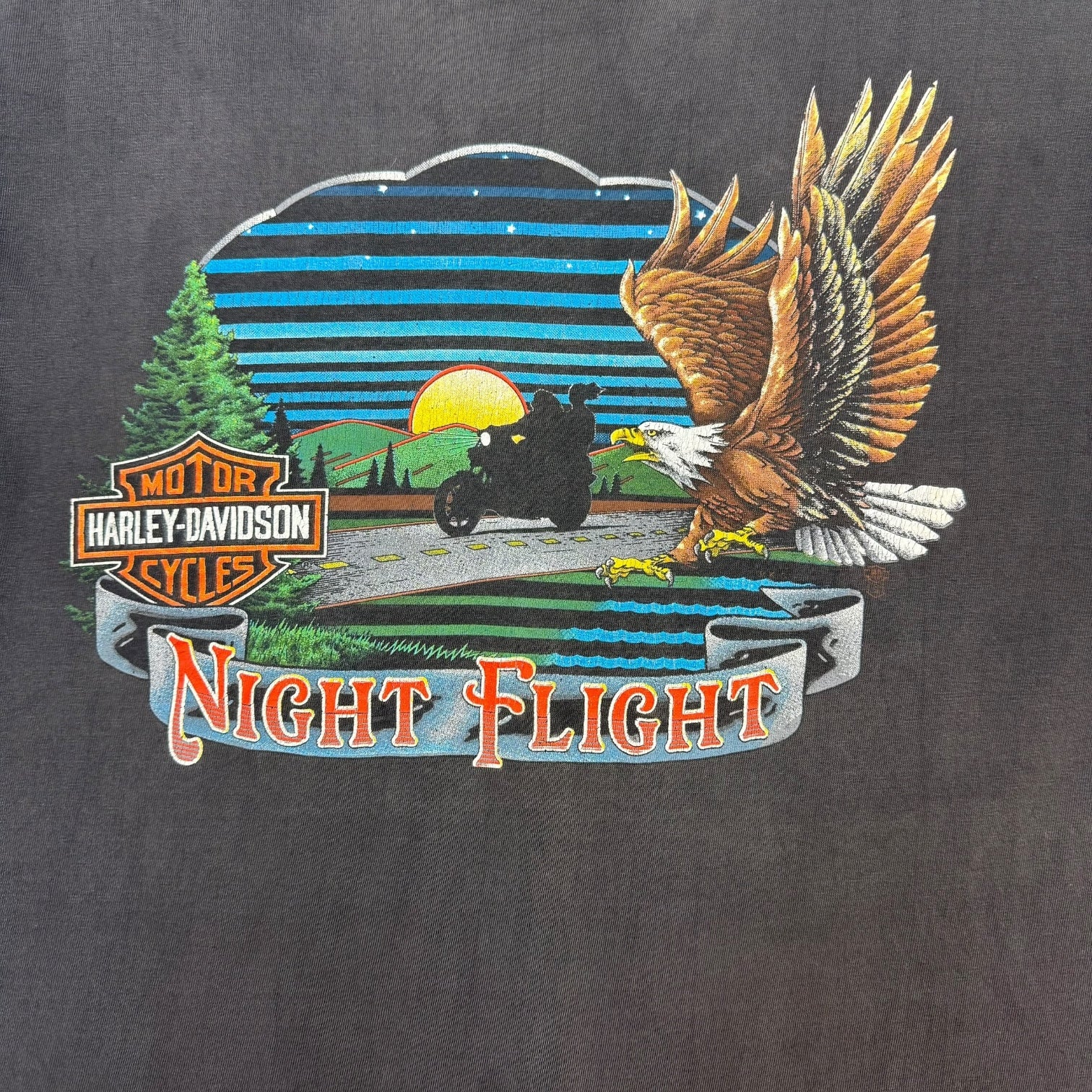 Vintage Harley Davidson Of Toronto Tee Faded Black