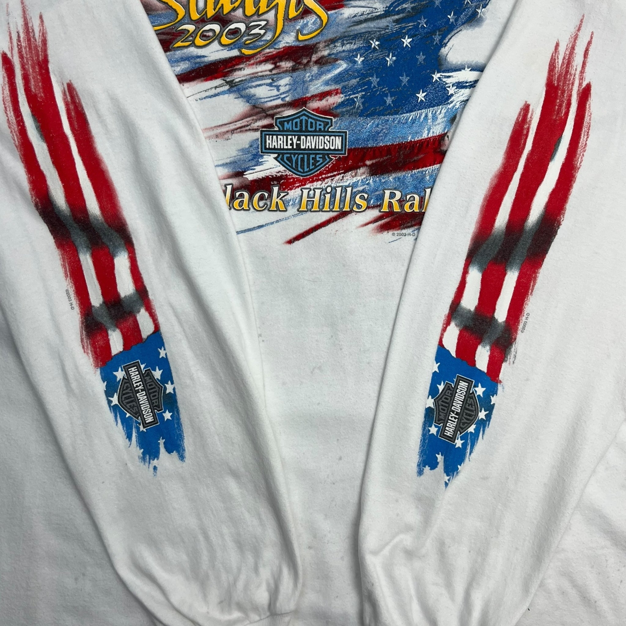 2002 Harley Davidson Black Hills USA Longsleeve T-Shirt