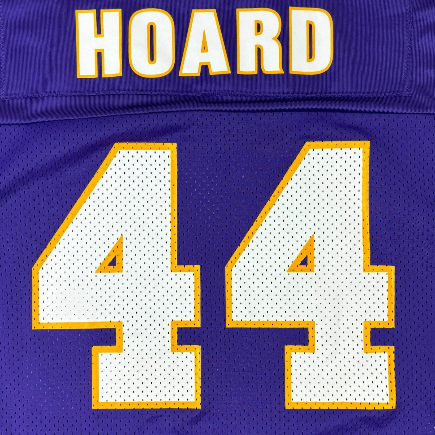 Vintage Champion Minnesota Vikings Leroy Hoard Jersey Purple