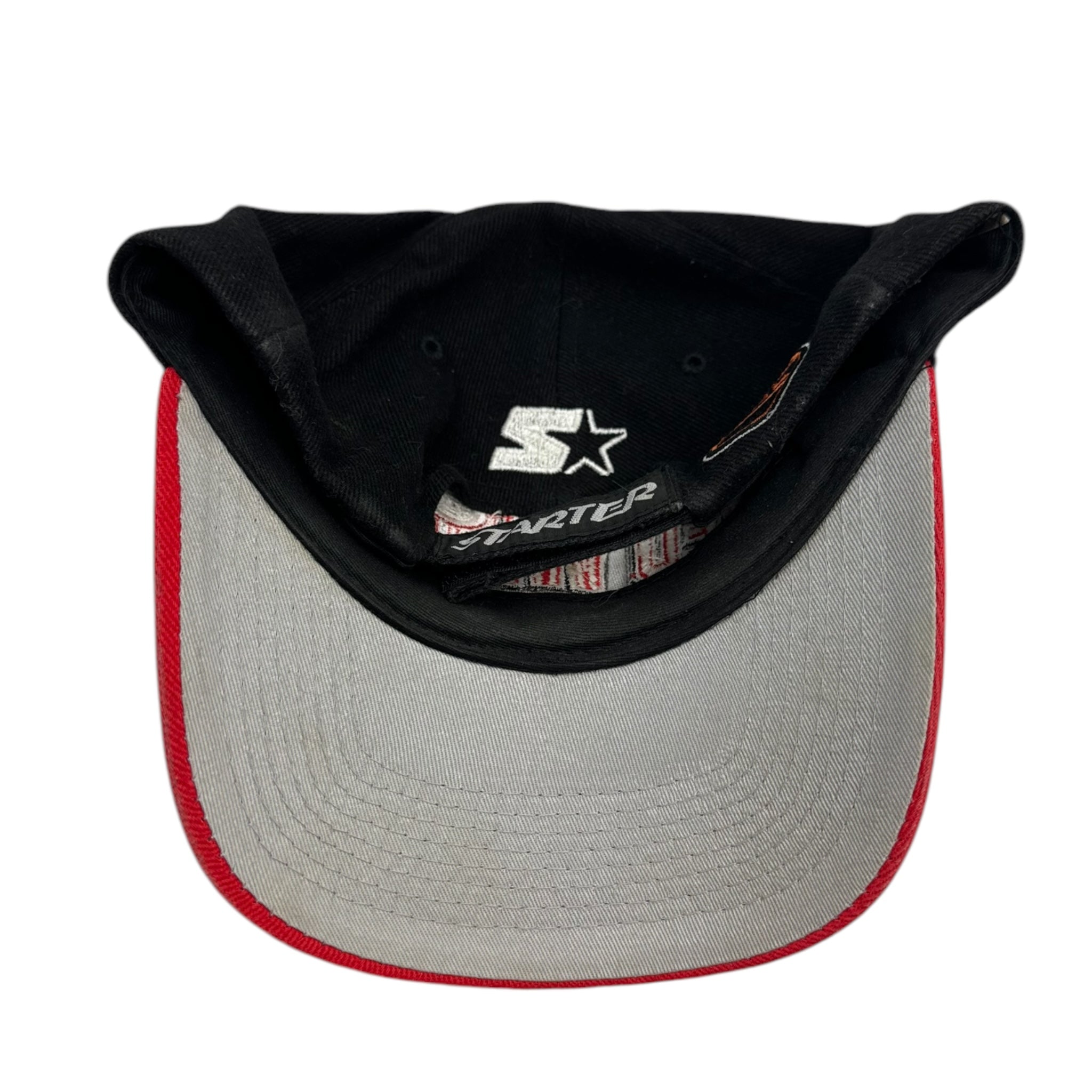 Vintage Detroit Red Wings Arc Logo Starter Hat