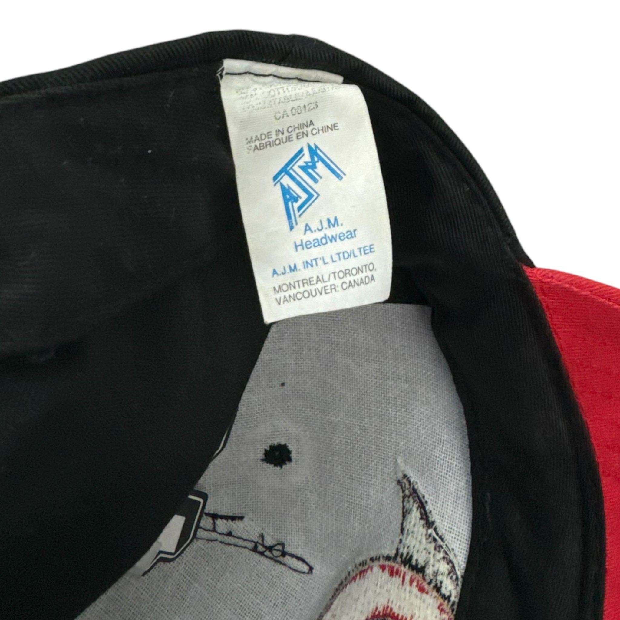 Vintage Ottawa Senators Snapback Hat