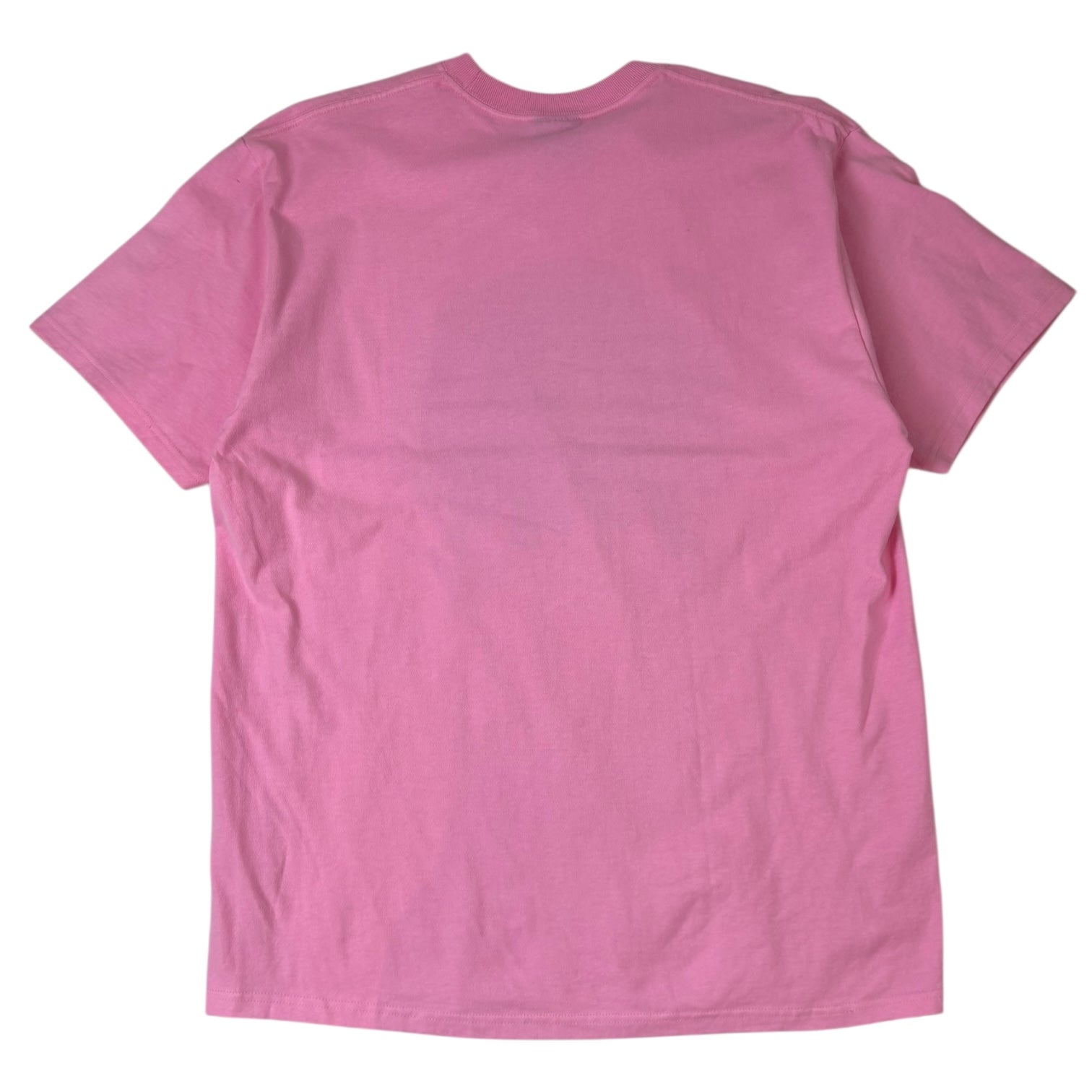 Stussy Saguaro Cactus T-Shirt Pink