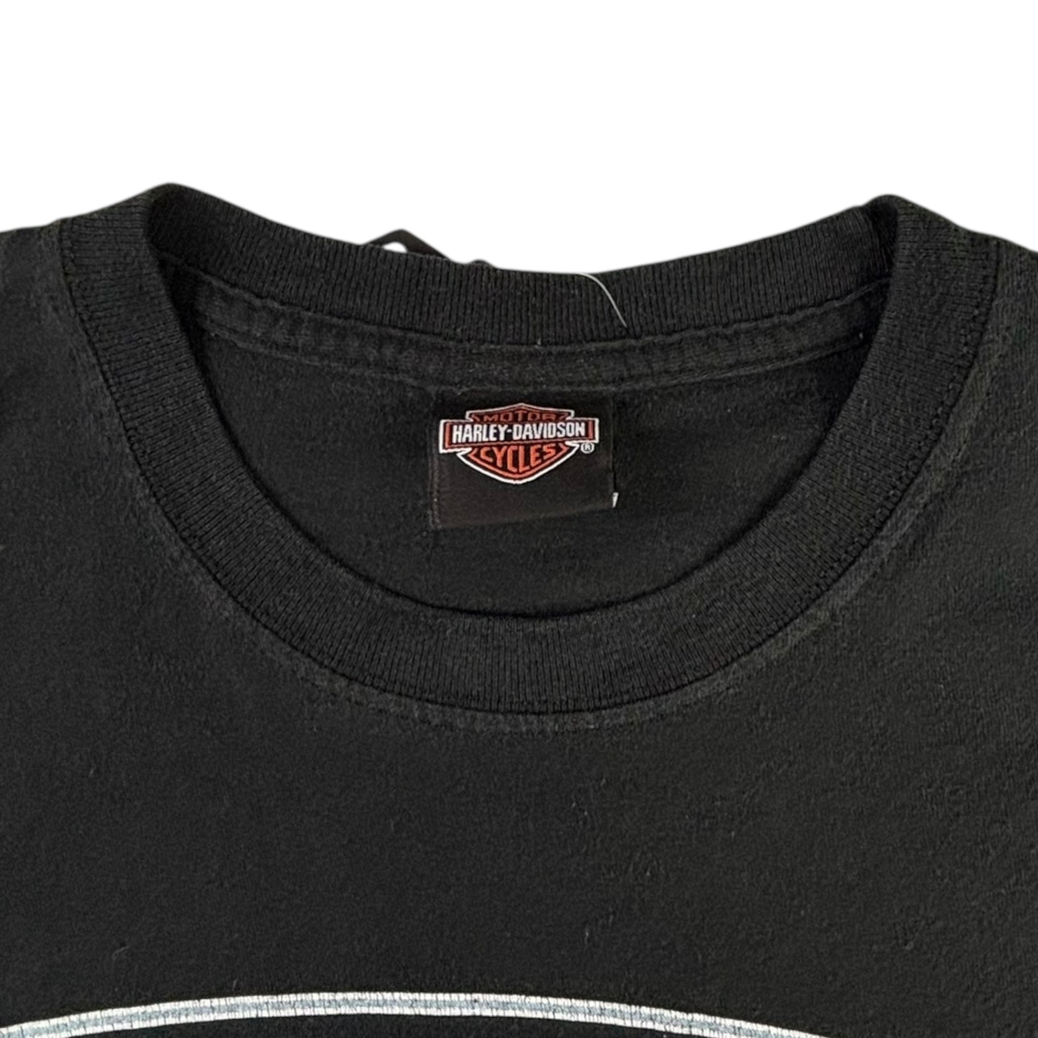 Vintage Harley Davidson Bergdale Albert Lea. MN Longsleeve T-Shirt