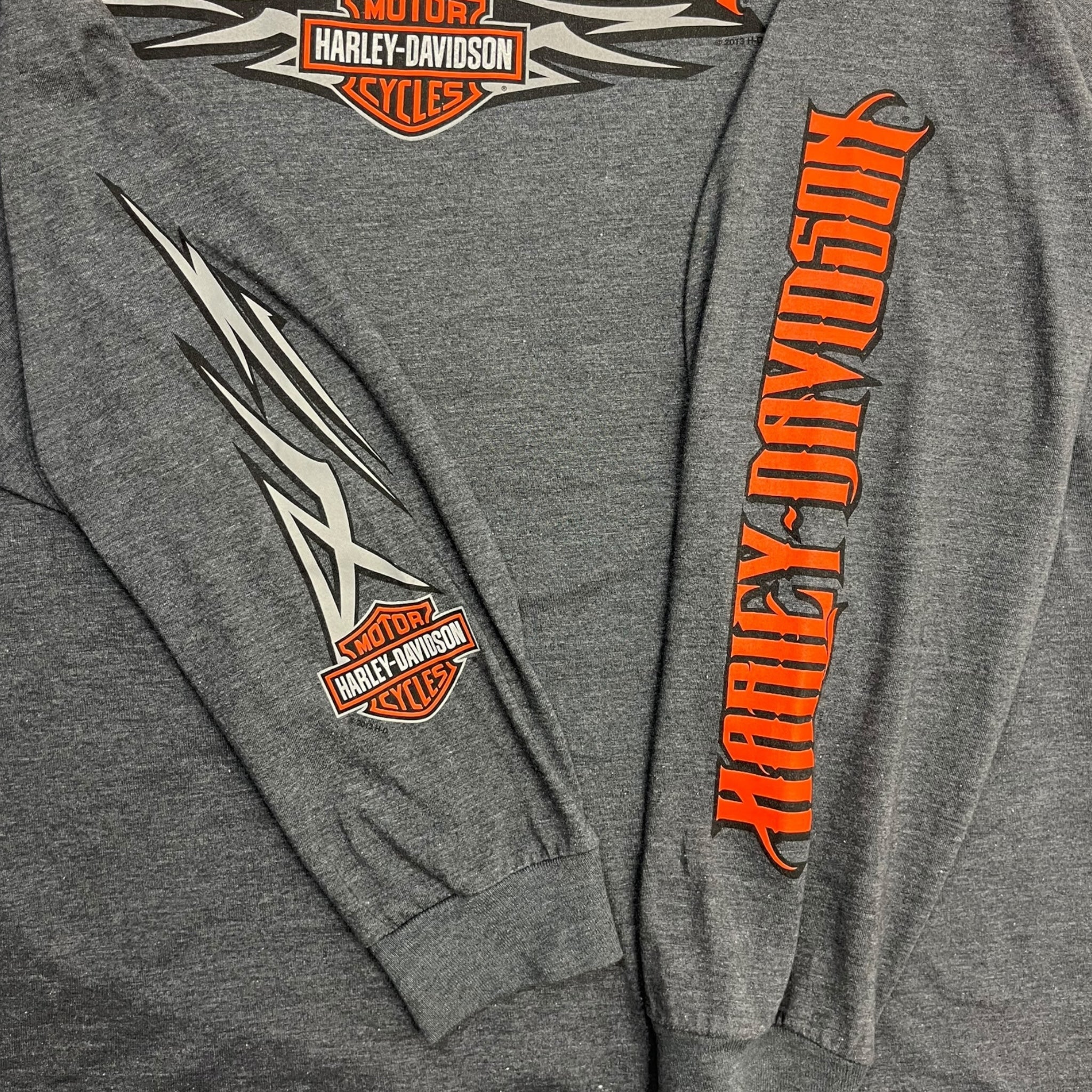 Harley Davidson Buffalo & Northern Lights Longsleeve T-Shirt