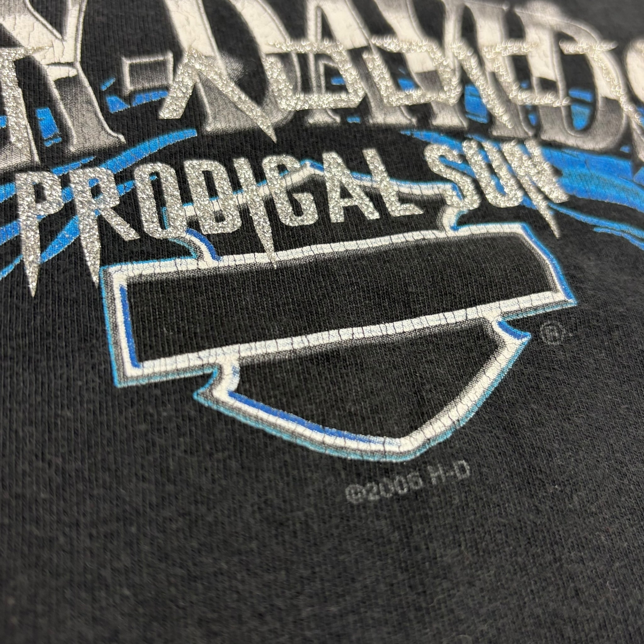2006 Harley Davidson "Prodigal Sun" Longsleeve T-Shirt