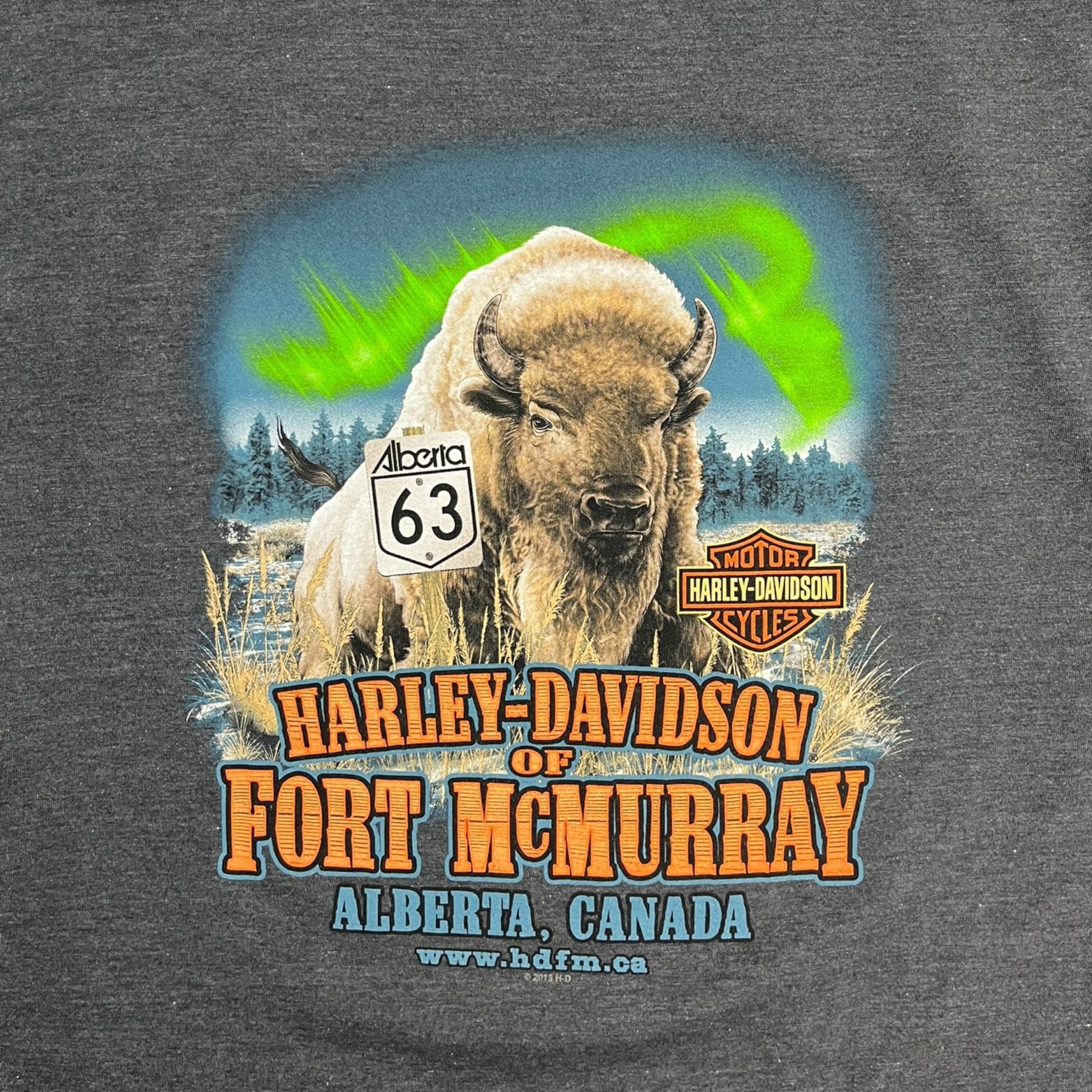 Harley Davidson Buffalo & Northern Lights Longsleeve T-Shirt