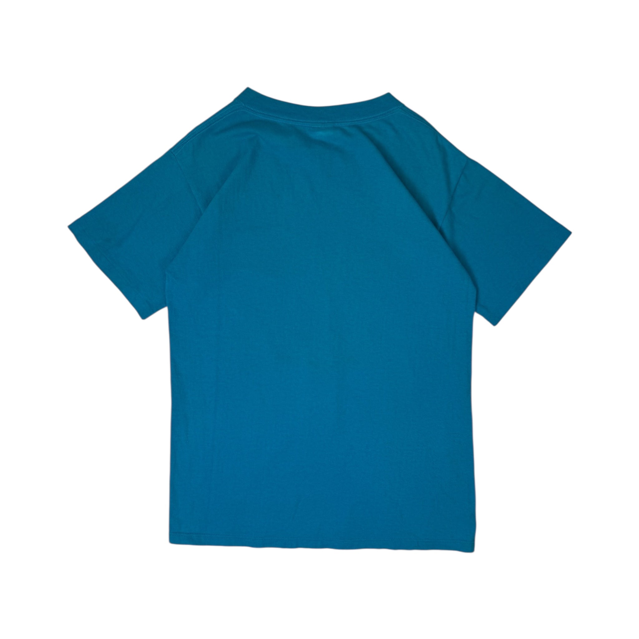 Vintage Charlotte Hornets Salem NBA T-Shirt Teal