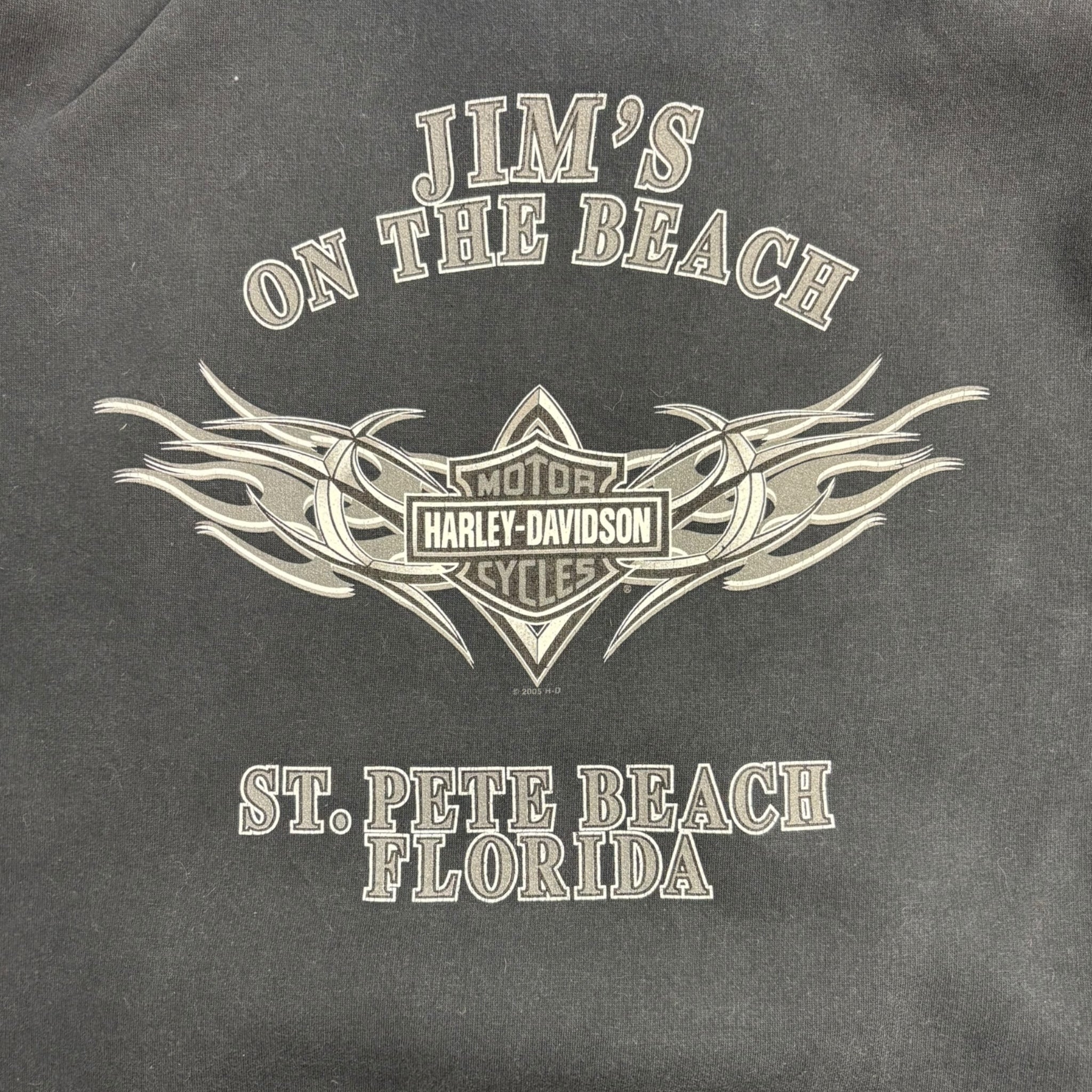 2005 Harley Davidson Cyber Goth Hoodie