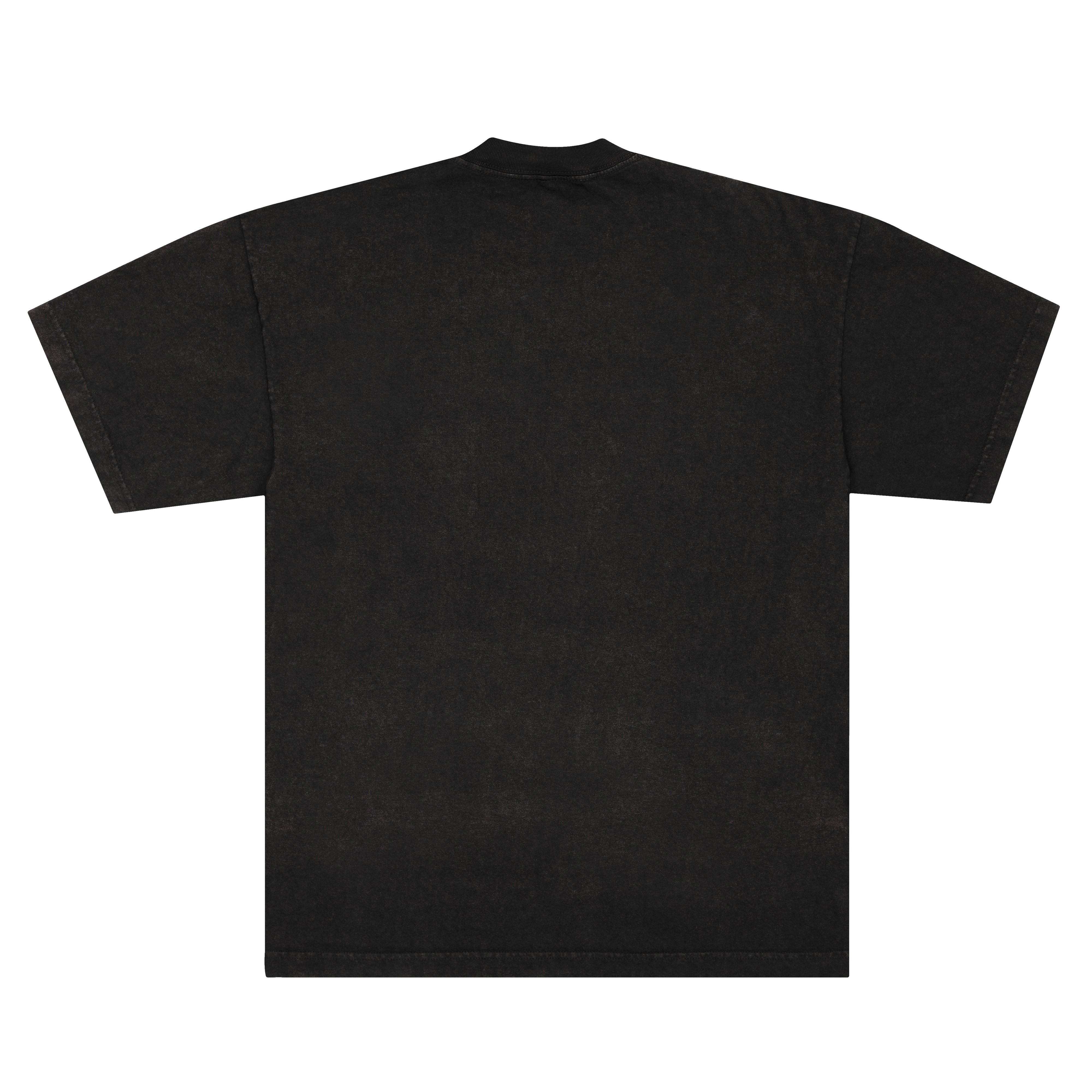 From Another Stampede 2025 T-Shirt