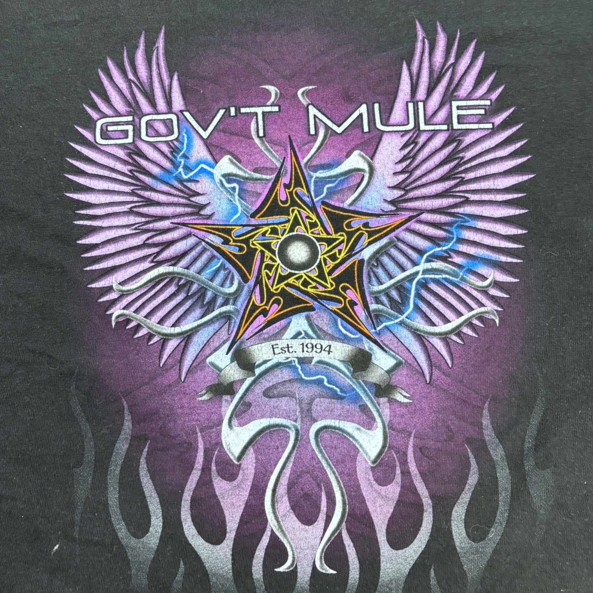 Vintage Y2K Gov't Mule Tribal Sleeve Flamer L/S T-Shirt