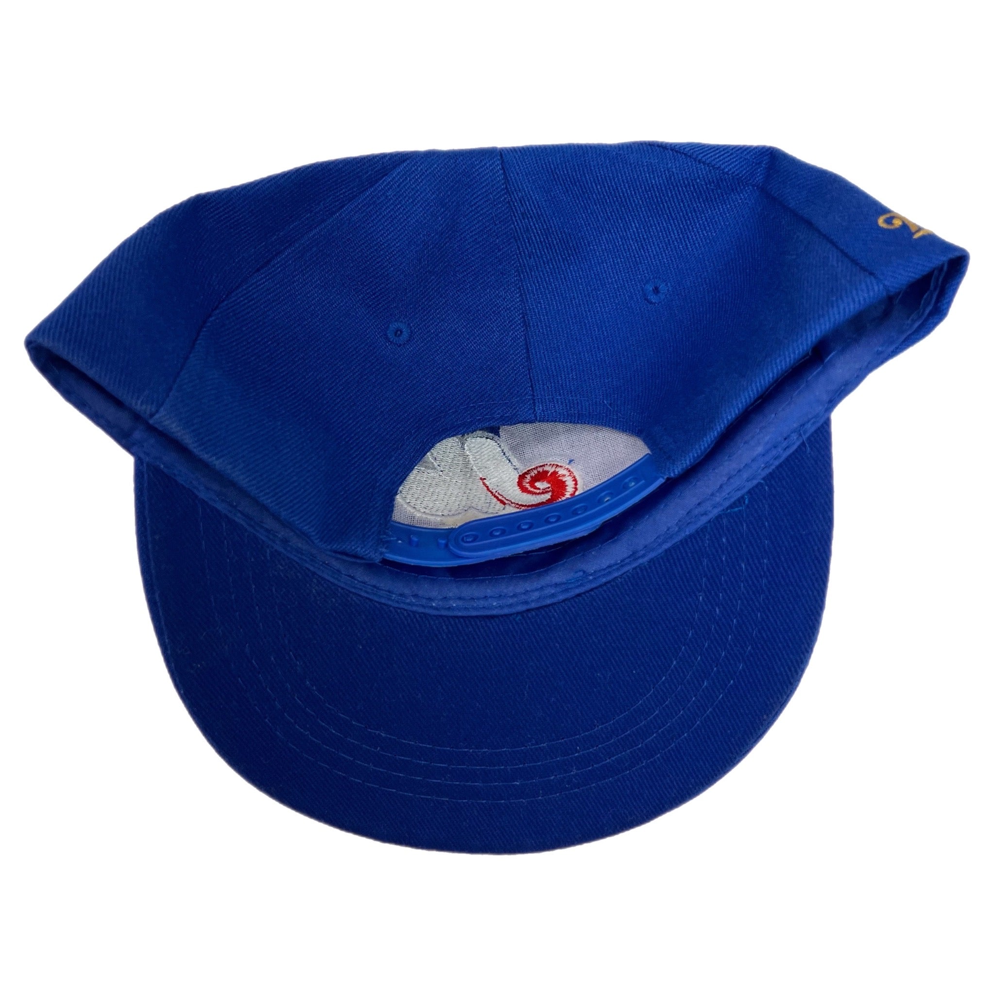 Vintage Montreal Expos Miller Hat Blue