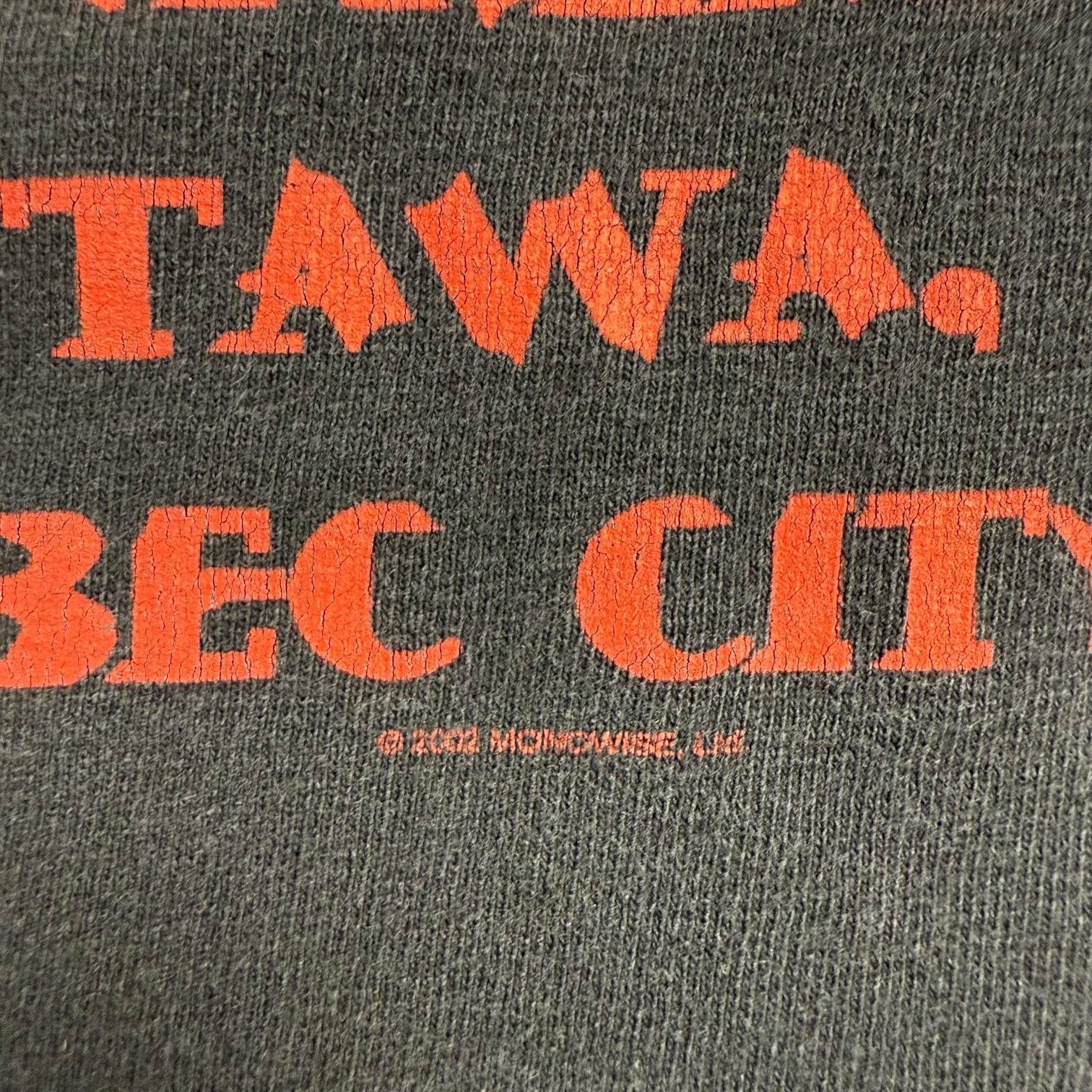 2002 Ozzy Osbourne Japan/Canada Tour Tee Black