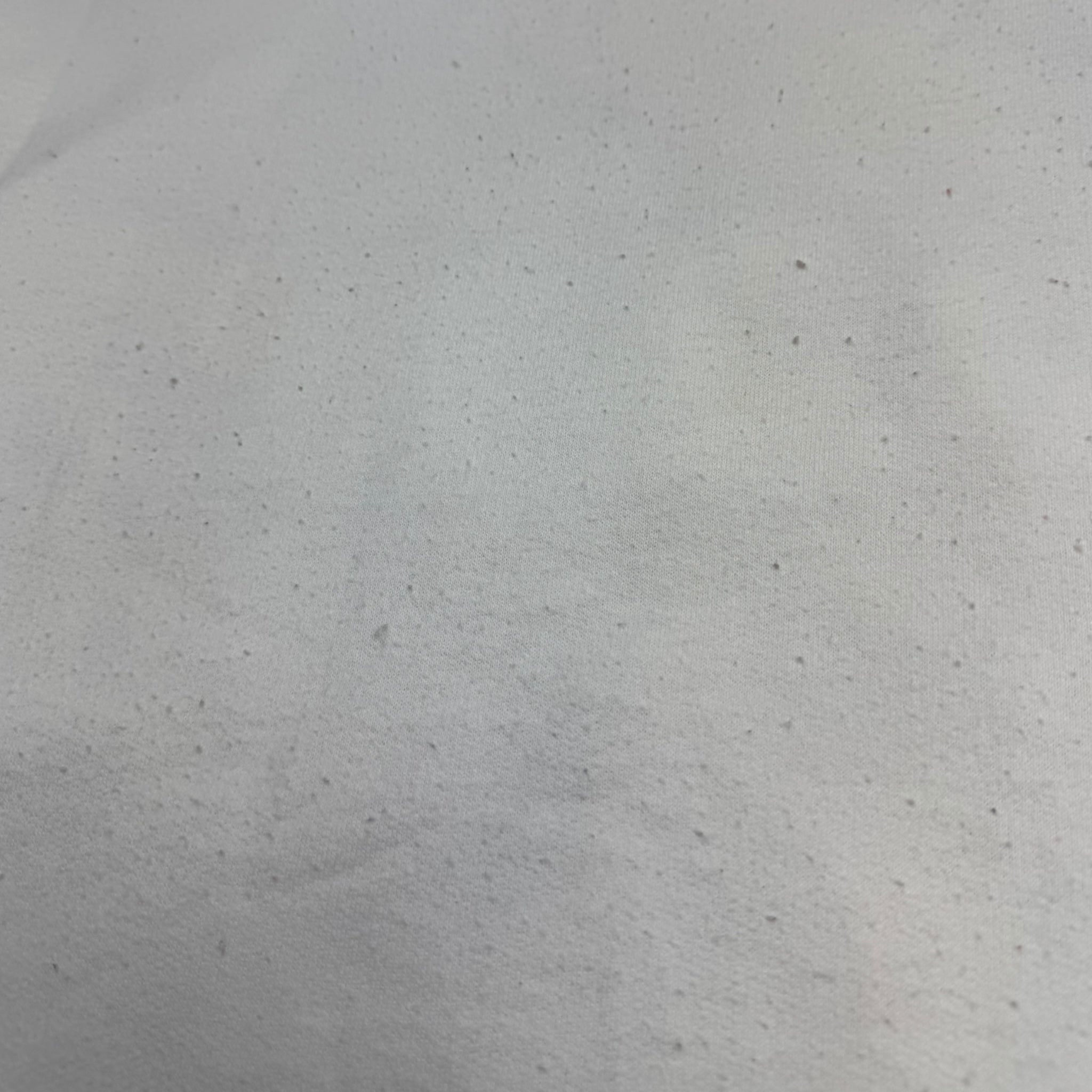 Vintage Tweety Santa Hat Crewneck