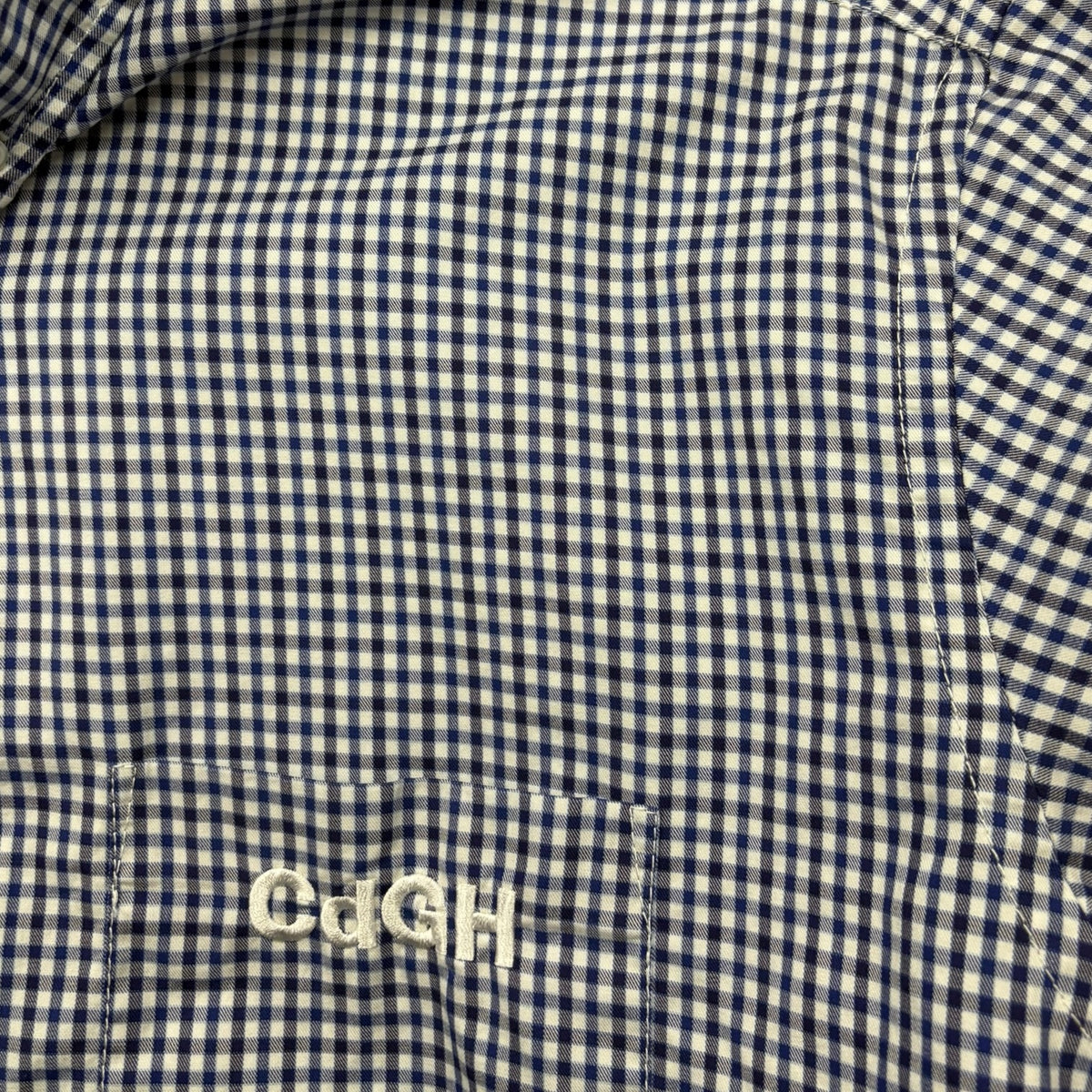 Comme des Garçons Homme Gingham Button Up L/S Shirt Blue