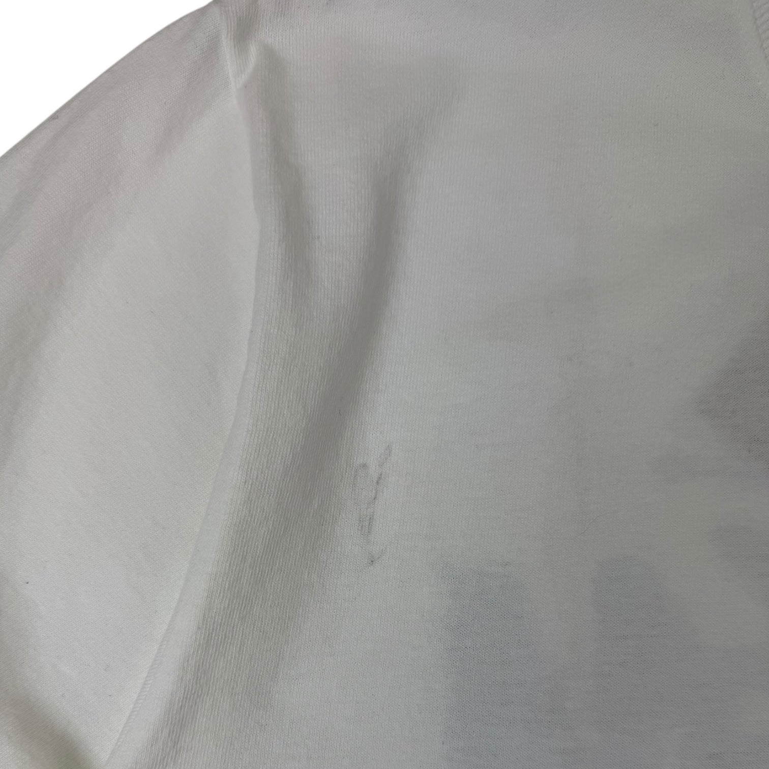 Stussy Vancouver Chapter Long Sleeve Shirt White