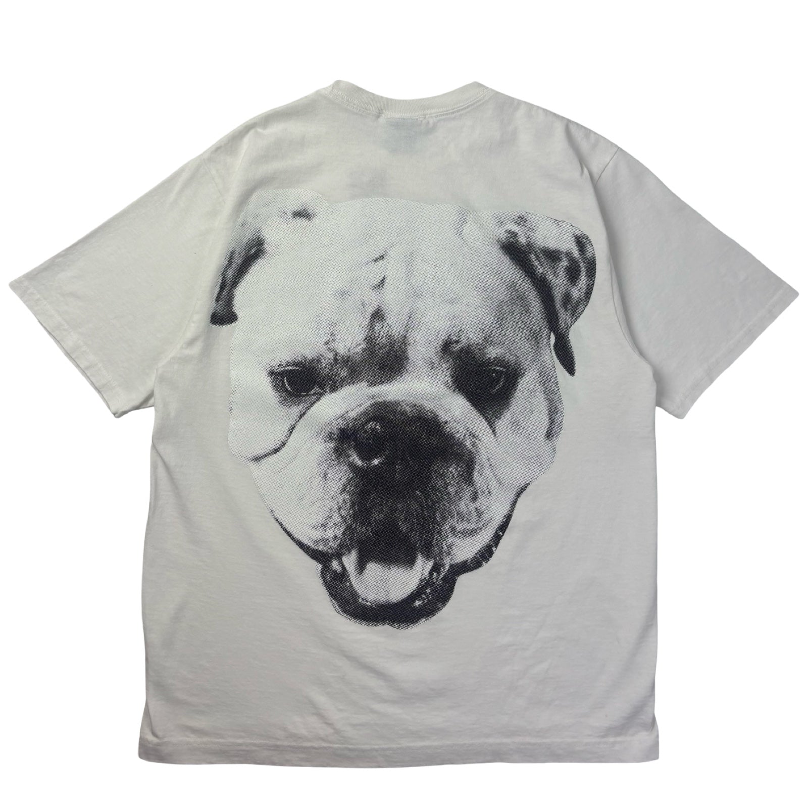 Stussy Big Dog Stone Washed Tee