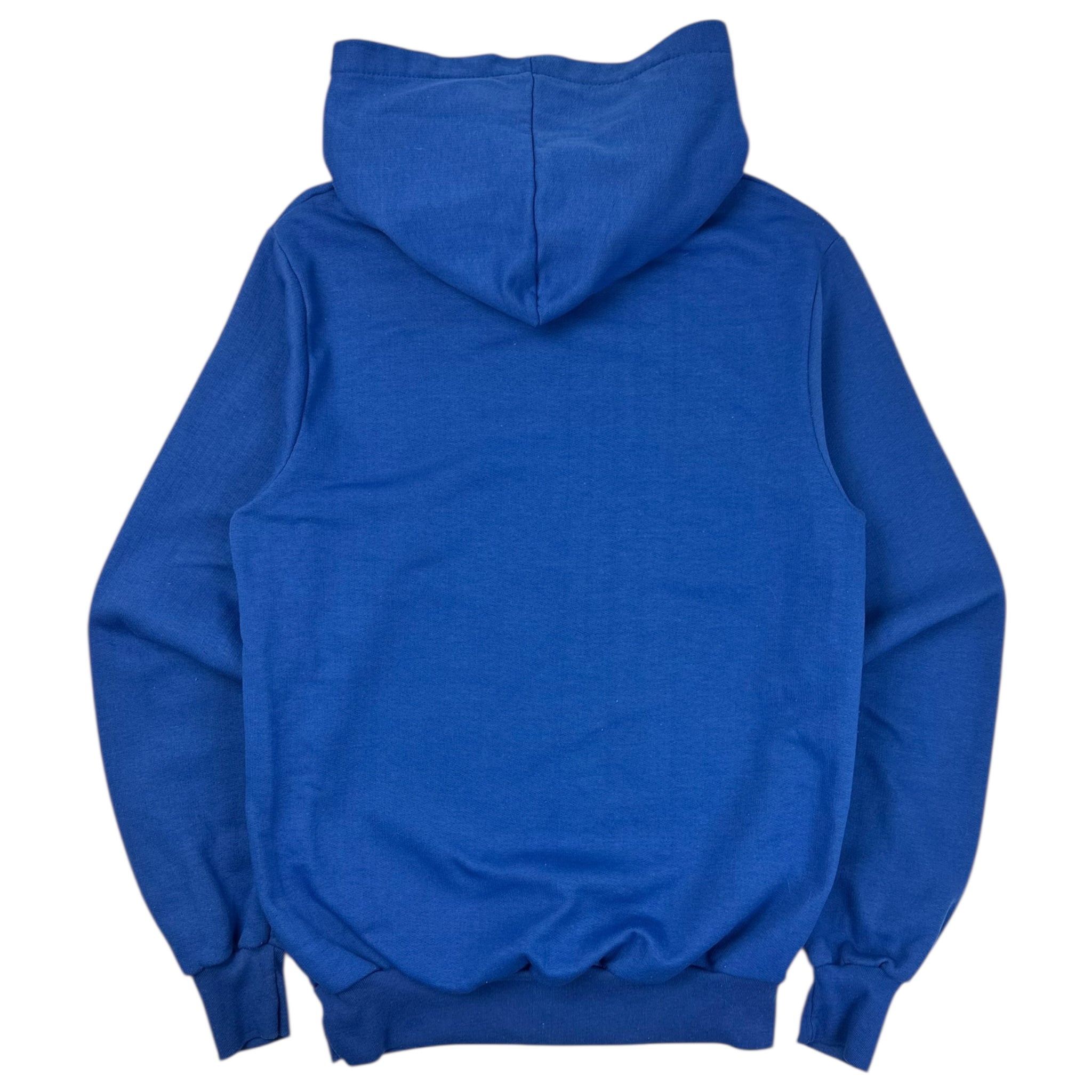 Vintage Quebec Nordiques Logo Hoodie