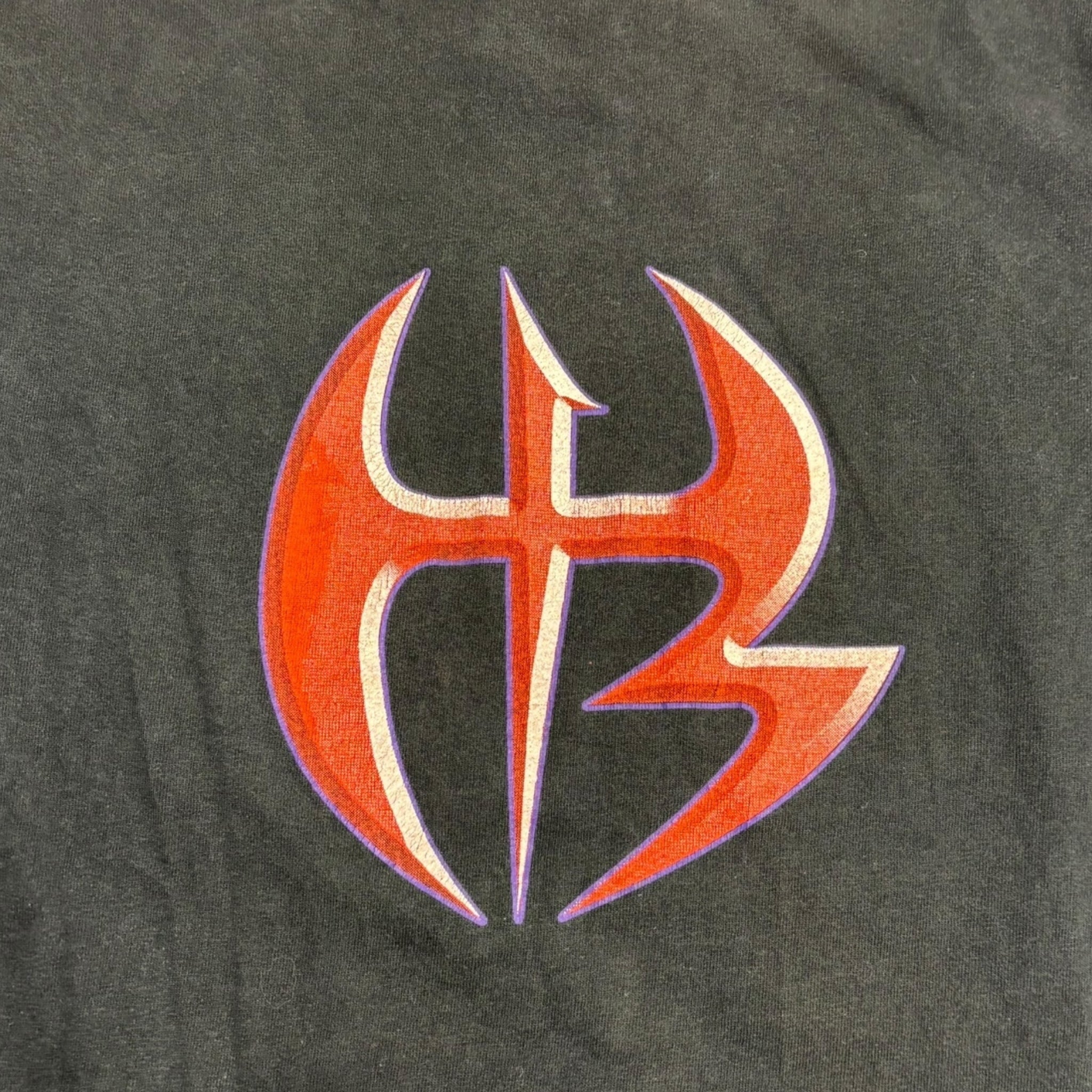 Vintage The Hardy Boyz WWE T-Shirt
