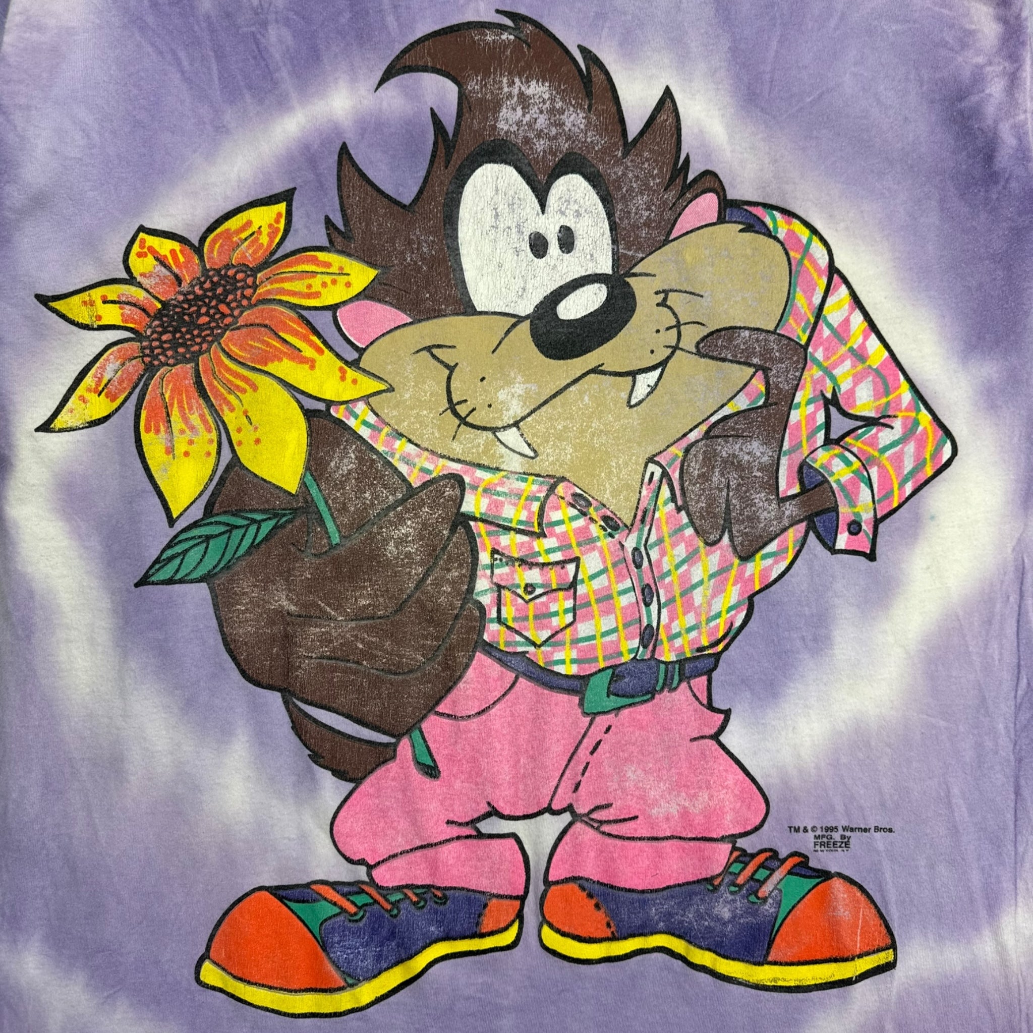 1995 Tazmanian Devil Springtime T-Shirt