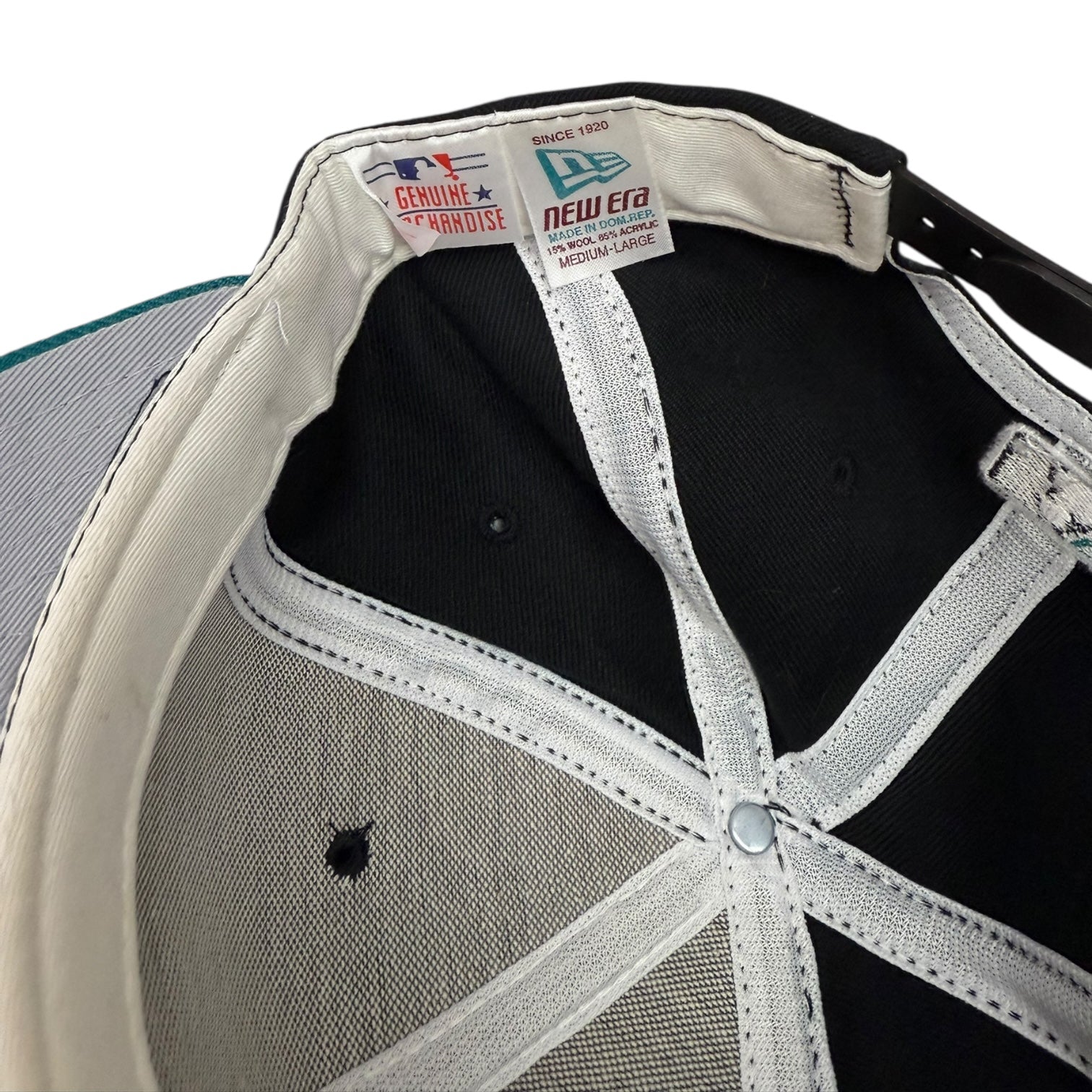 Vintage Arizona Diamondbacks Snapback