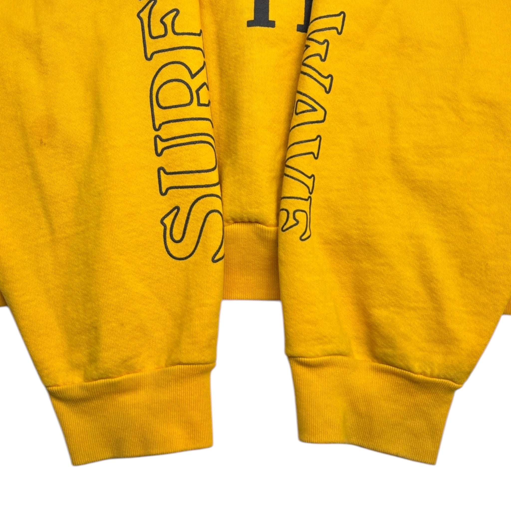 Kid Cudi X Cactus Plant Flea Market "Swim In The Light" Hoodie