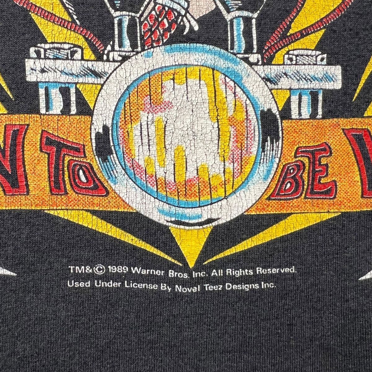 Vintage 1989 Looney Tunes “Taz Born to be Wild” T-Shirt Black