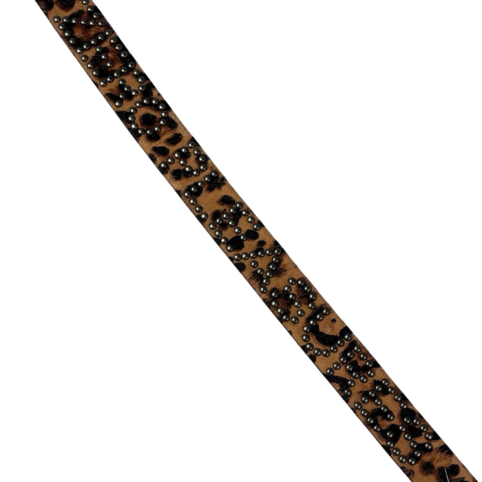 Pleasure Silverstone Skull Leopard Studded Belt