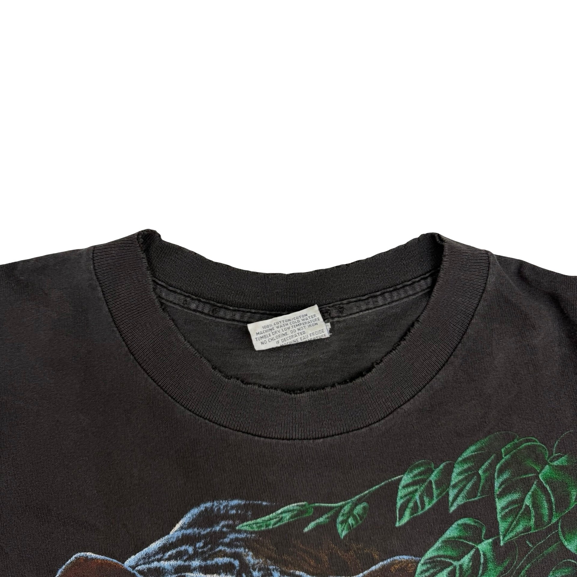 Vintage Black Panther Assiniboine Park Zoo Too Black