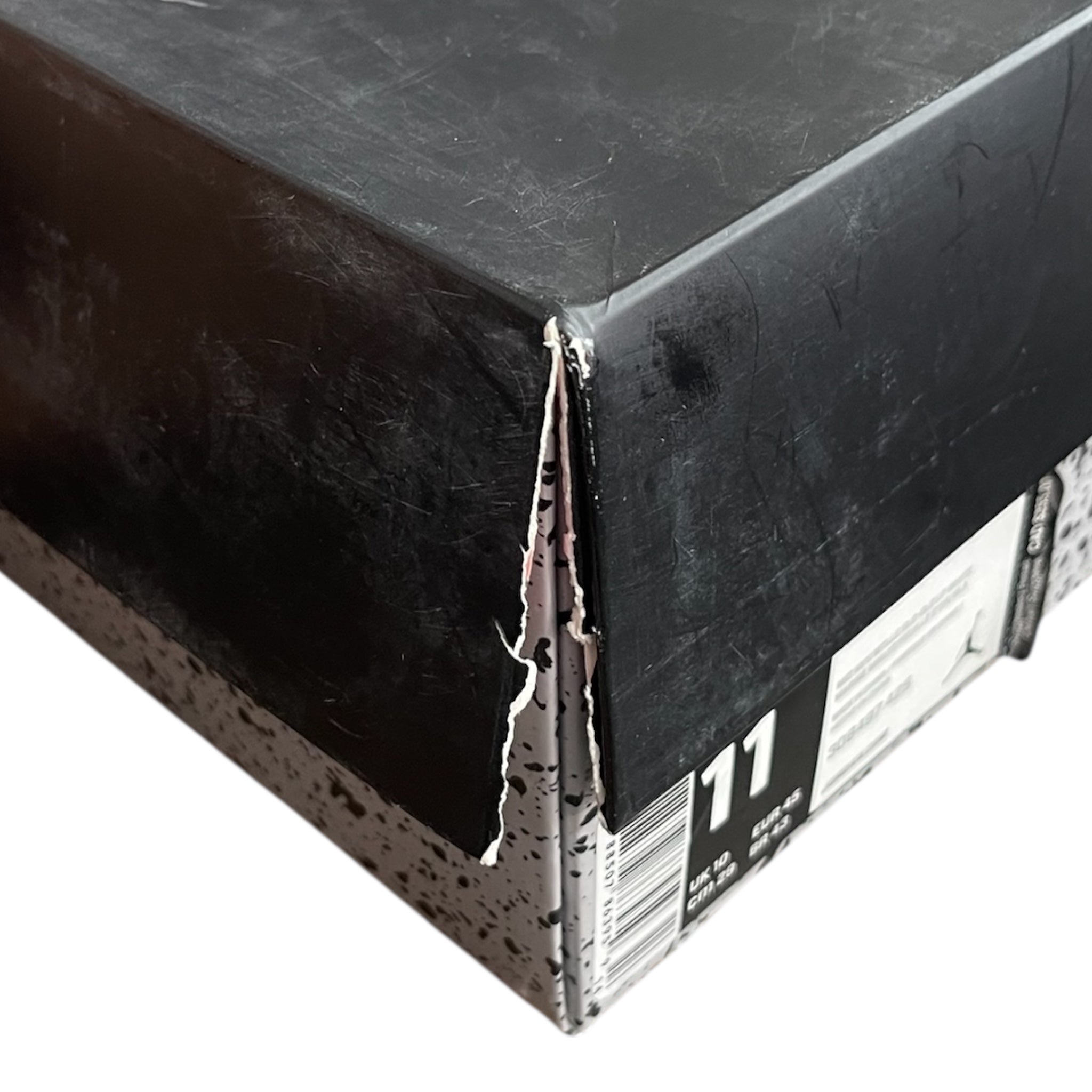 Jordan 4 Dunk From Above