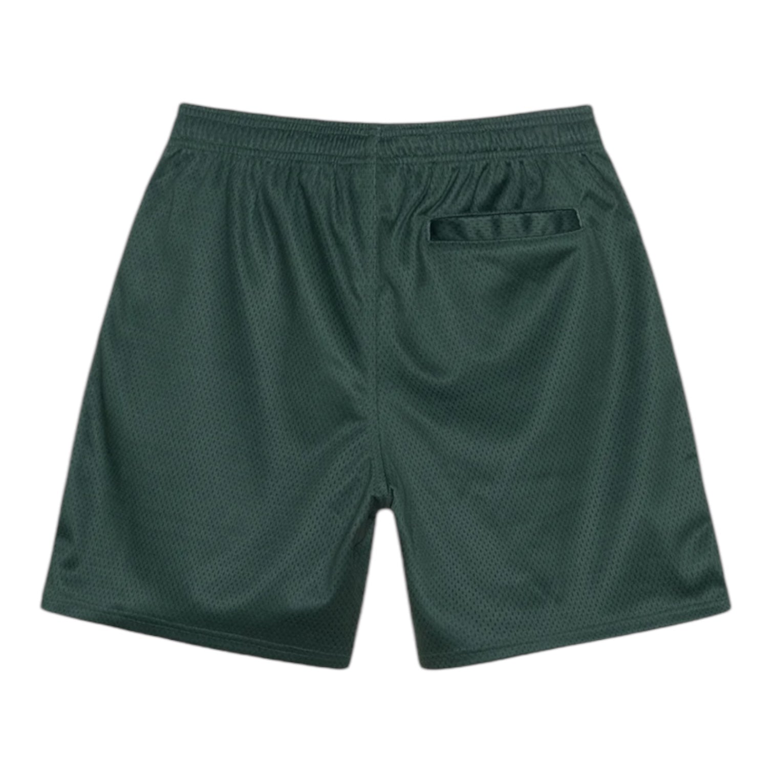 Stussy Mesh Shorts Big Basic Green