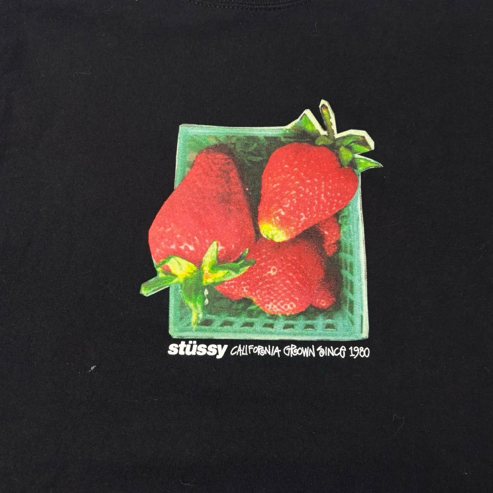 Stussy Berries Tee Black