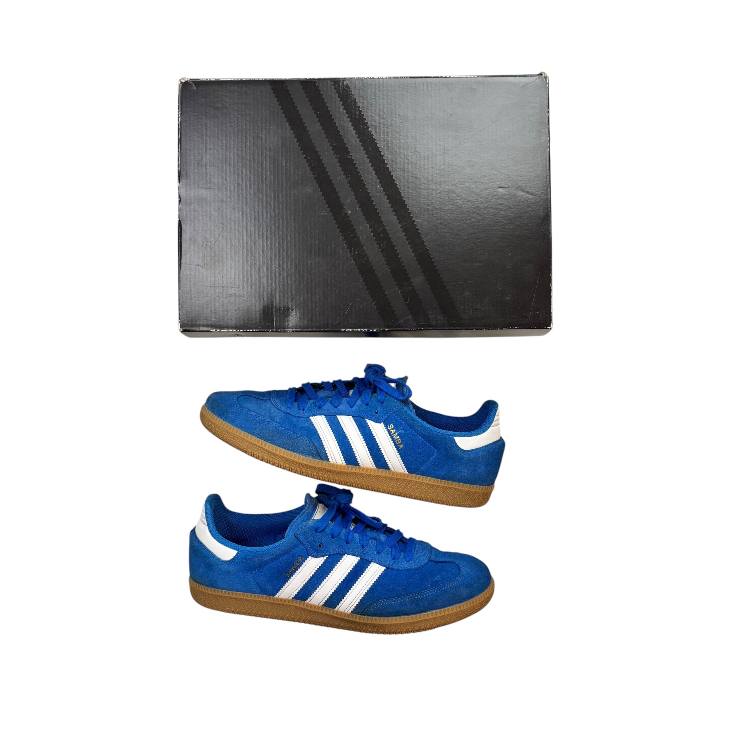 Adidas Samba ADV Blue Bird (Used)