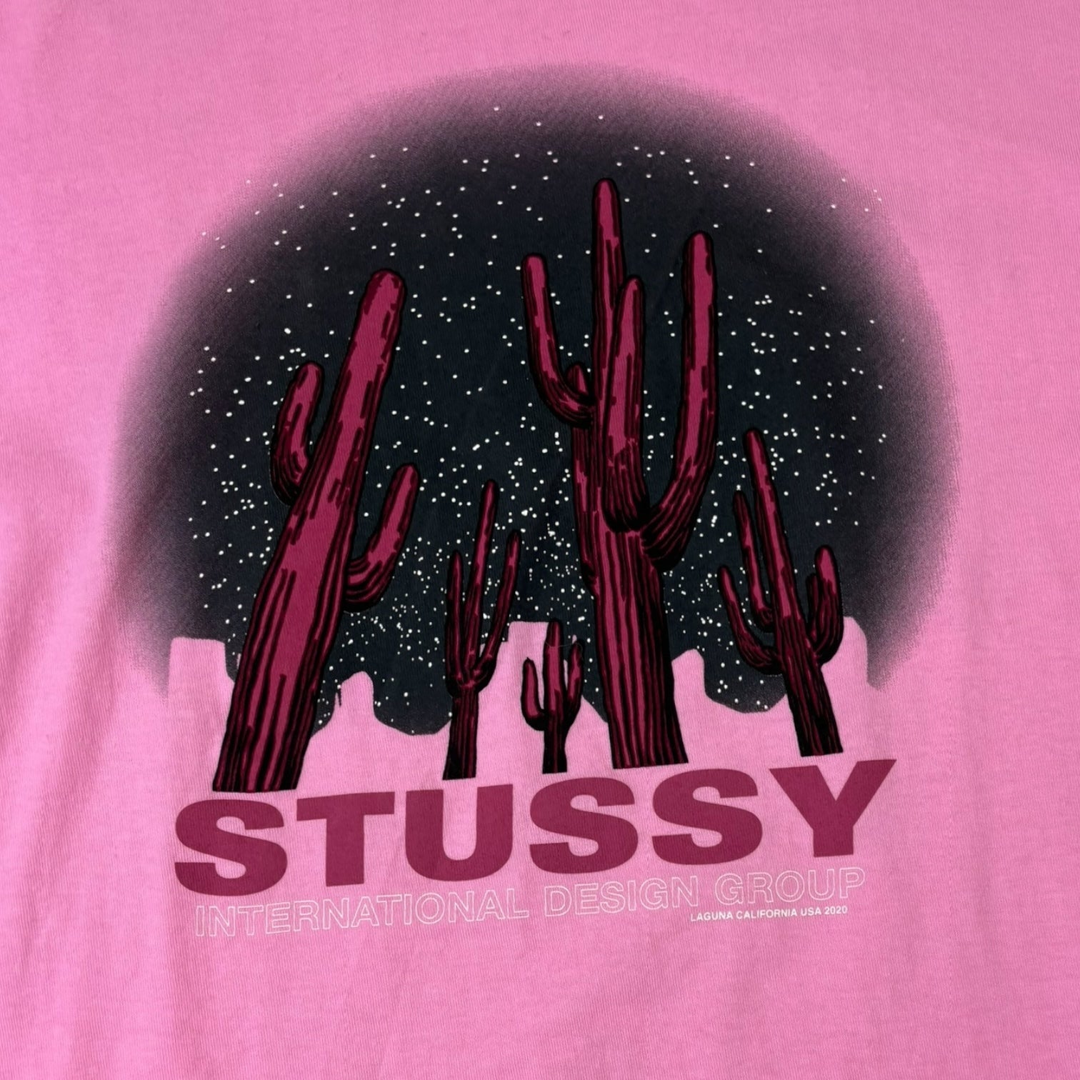 Stussy Saguaro Cactus T-Shirt Pink