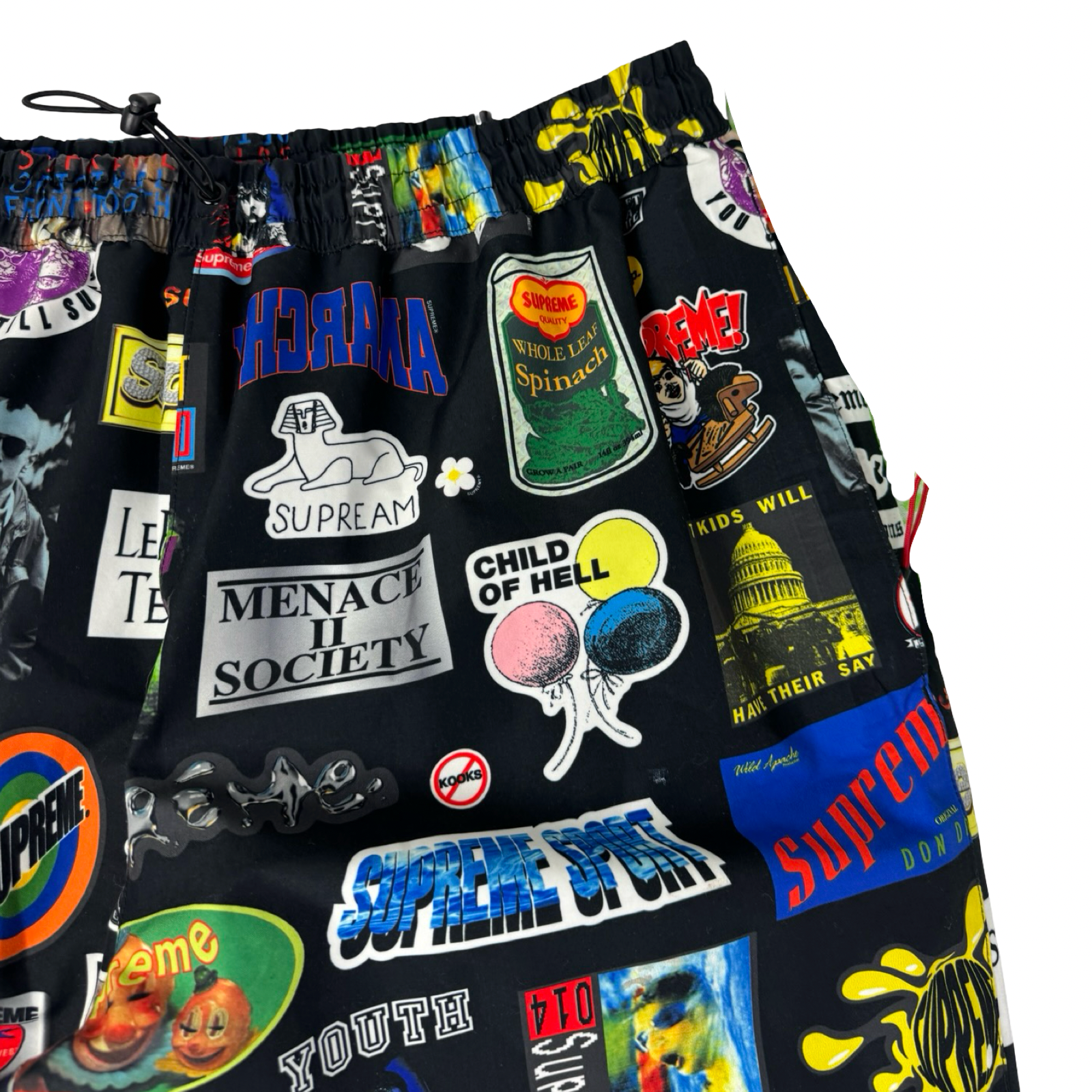 Supreme Gore-Tex Stickers Pant Bottoms