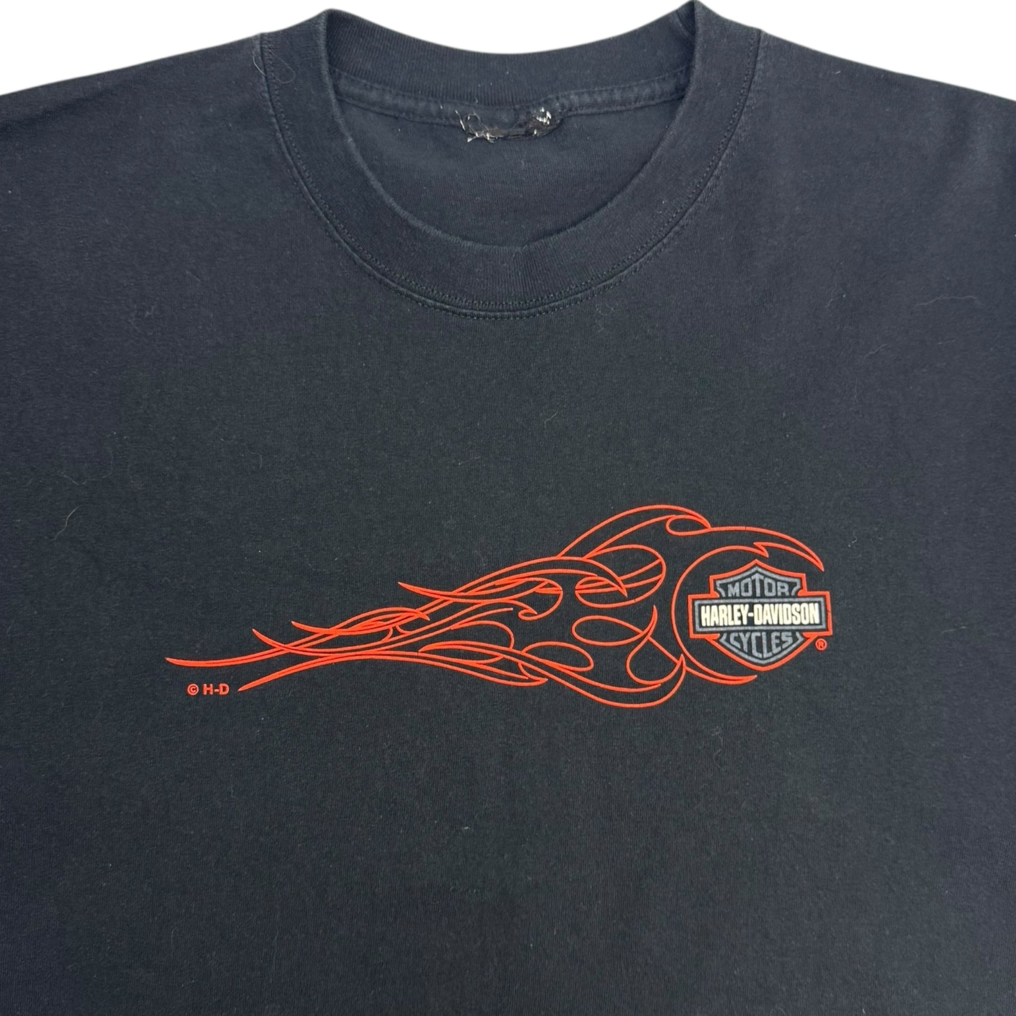 Vintage Harley Davidson Heavyweight T-Shirt