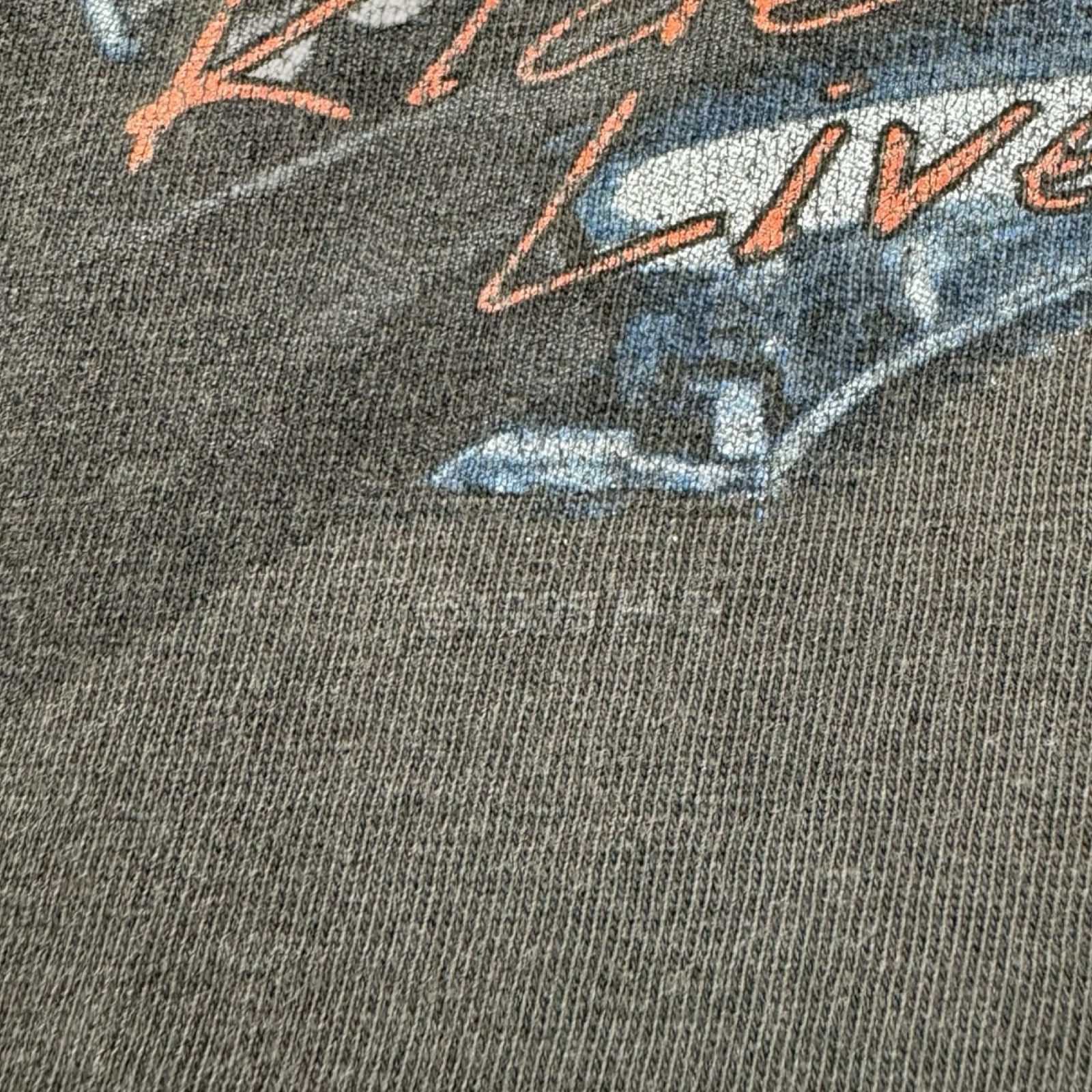 1995 Harley Davidson Biker Hog T-Shirt Faded Black