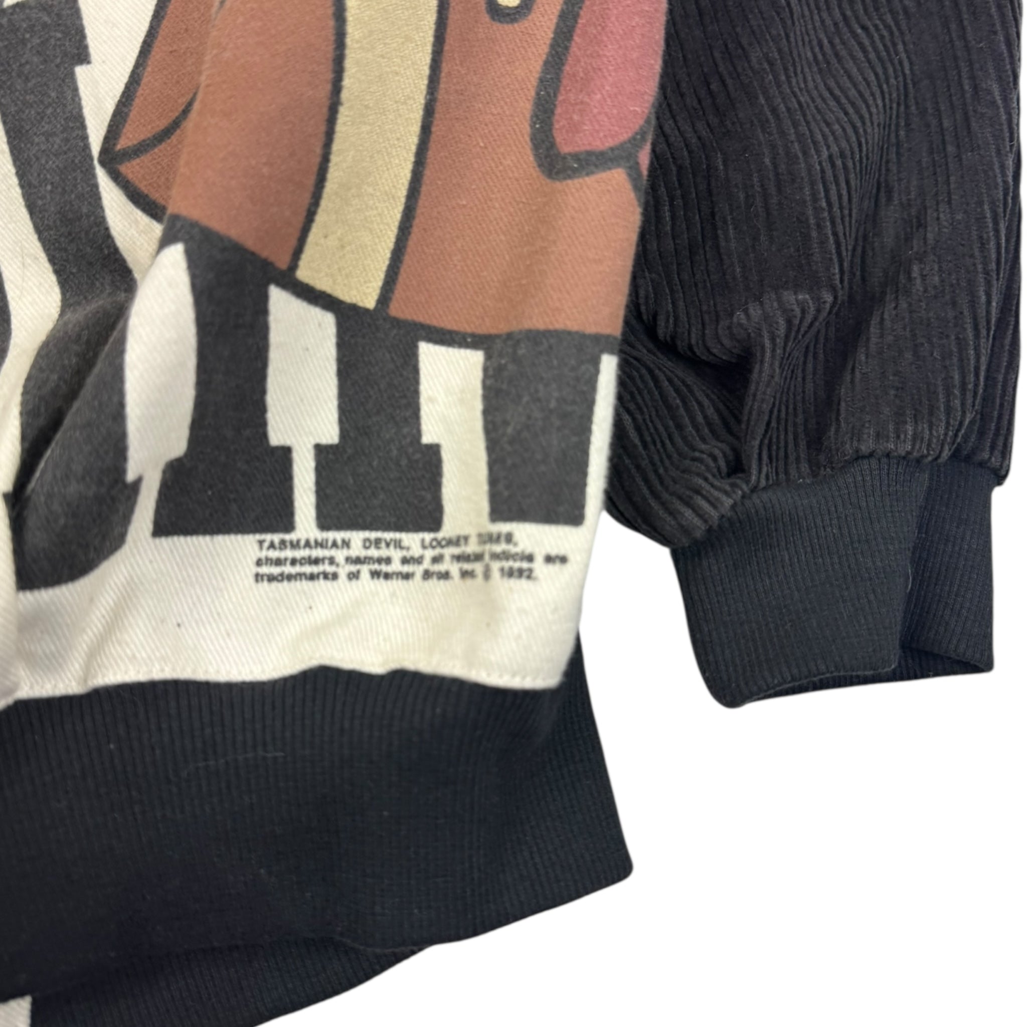 1990 Looney Tunes Tasmania Devil Athletics Jacket