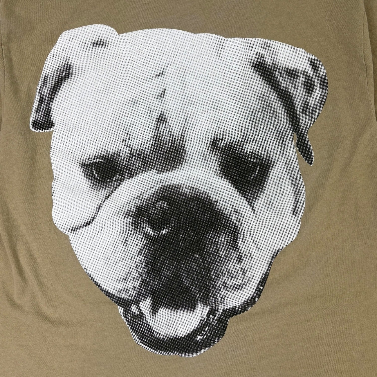 Stussy Big Dog Stone Washed T-Shirt Khaki
