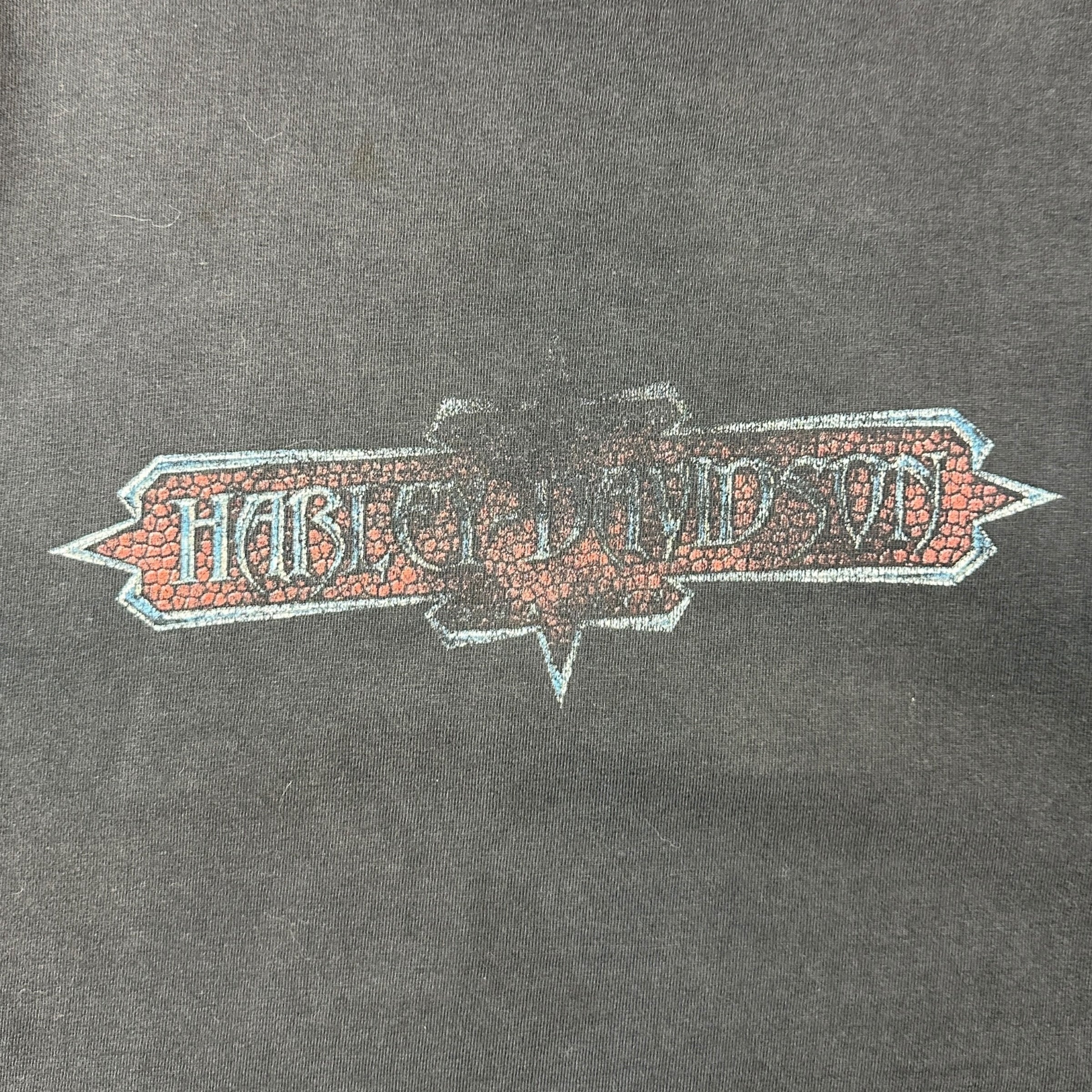2004 Harley Davidson Dukes Chatham-Kent Ontario Tee Black